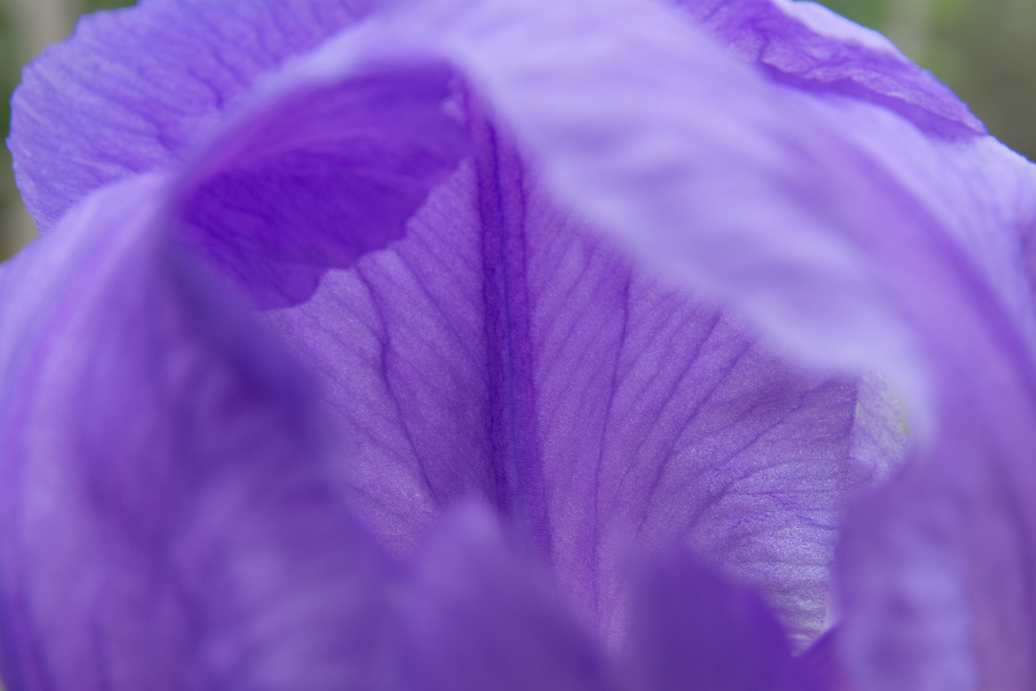 Sigma 17-70mm F2.8-4 DC Macro OS HSM sample photo. Protection photography