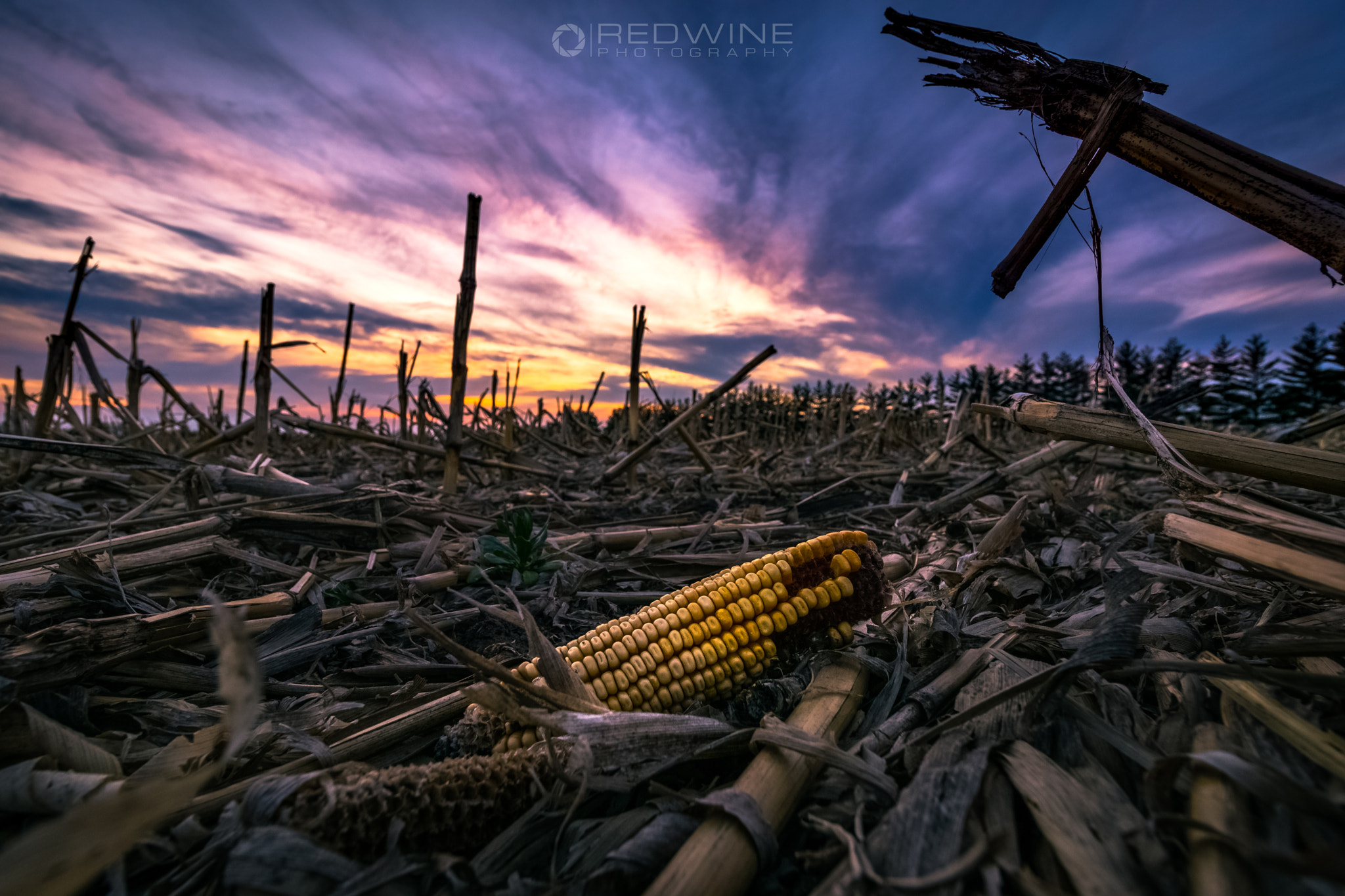 Canon EF-S 10-18mm F4.5–5.6 IS STM sample photo. Crawl photography