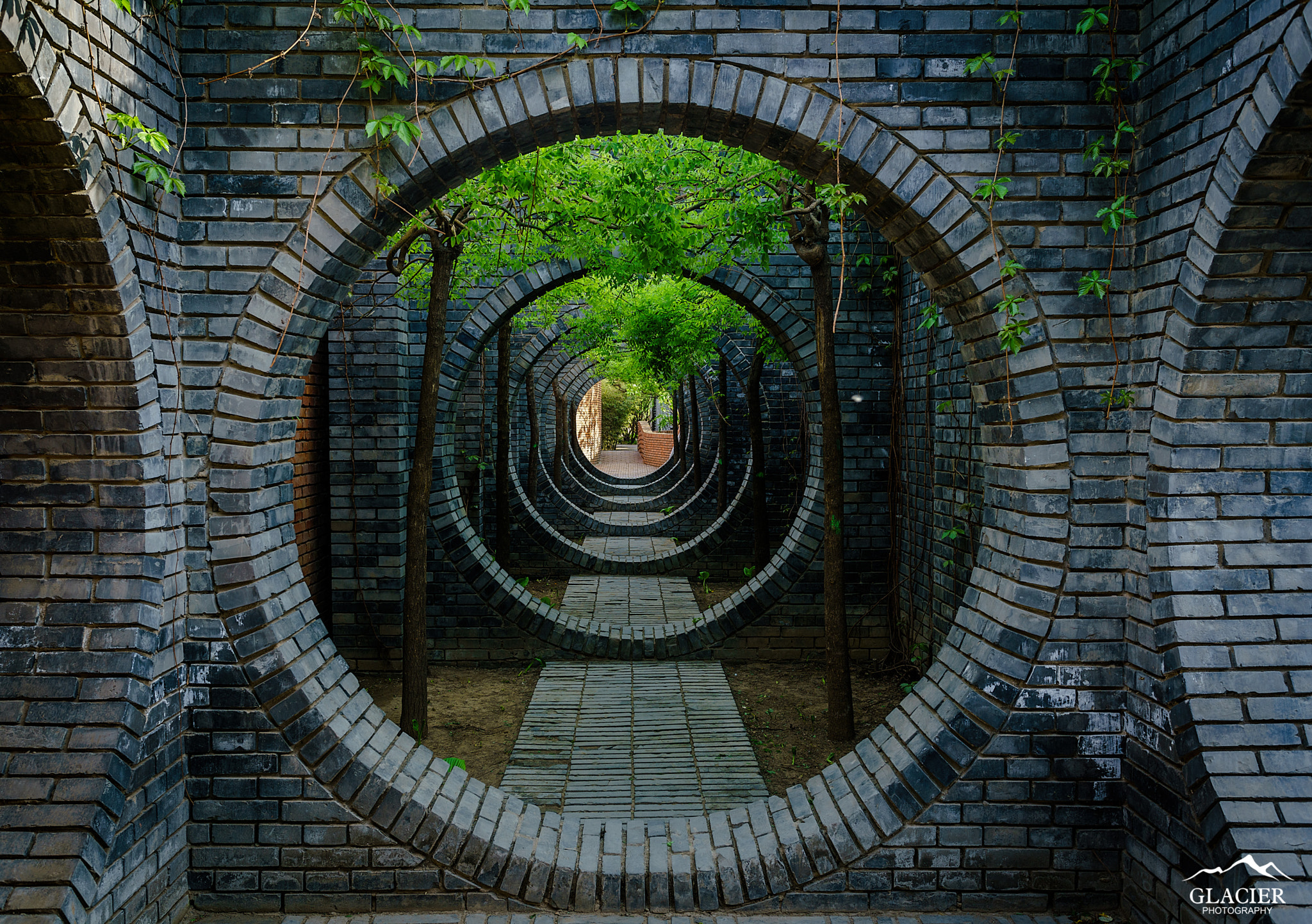 Sony a7R II + Canon EF 17-40mm F4L USM sample photo. Circle photography