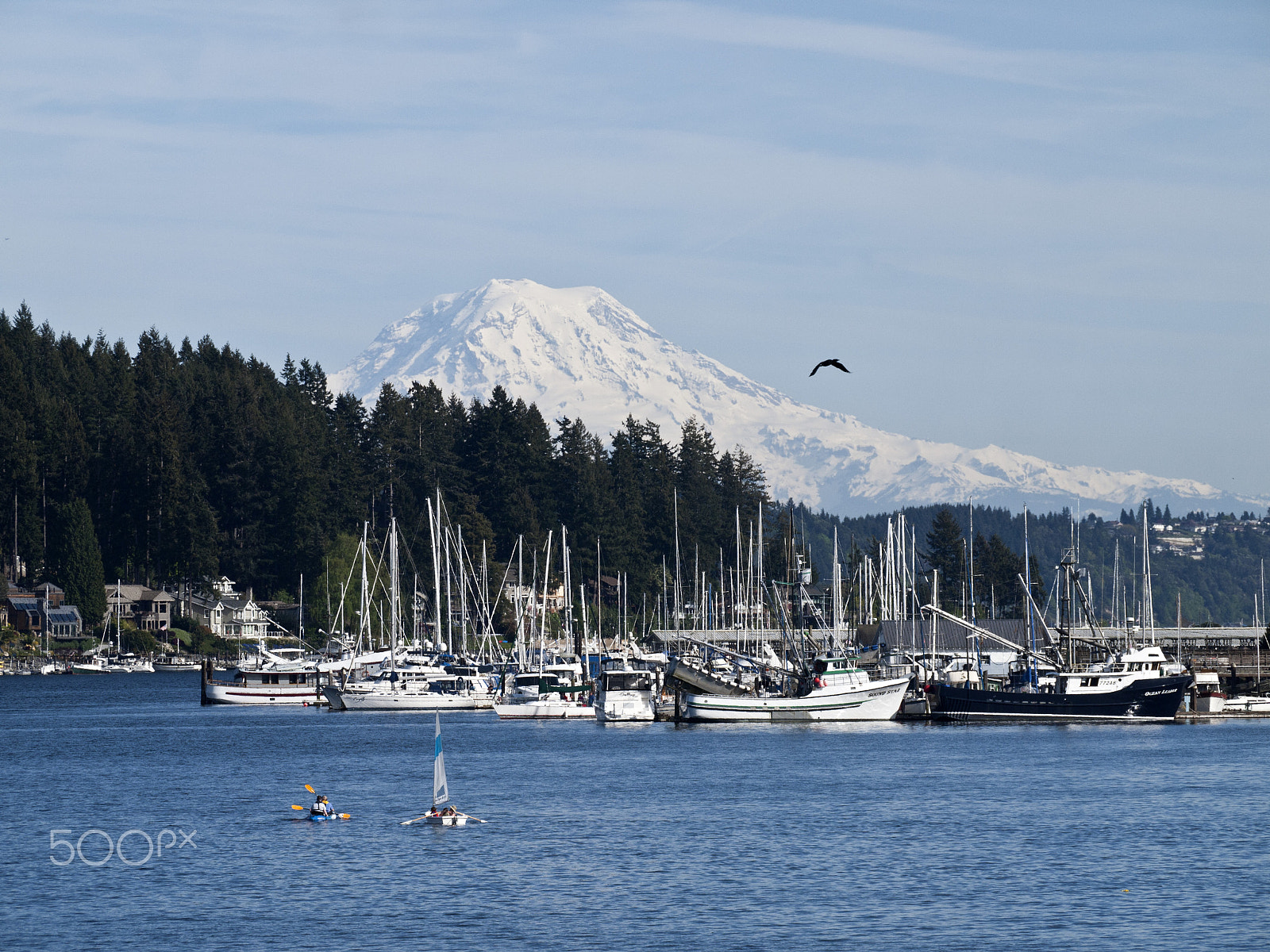 Olympus PEN E-P1 sample photo. Mt rainier and gig harbor, wa photography