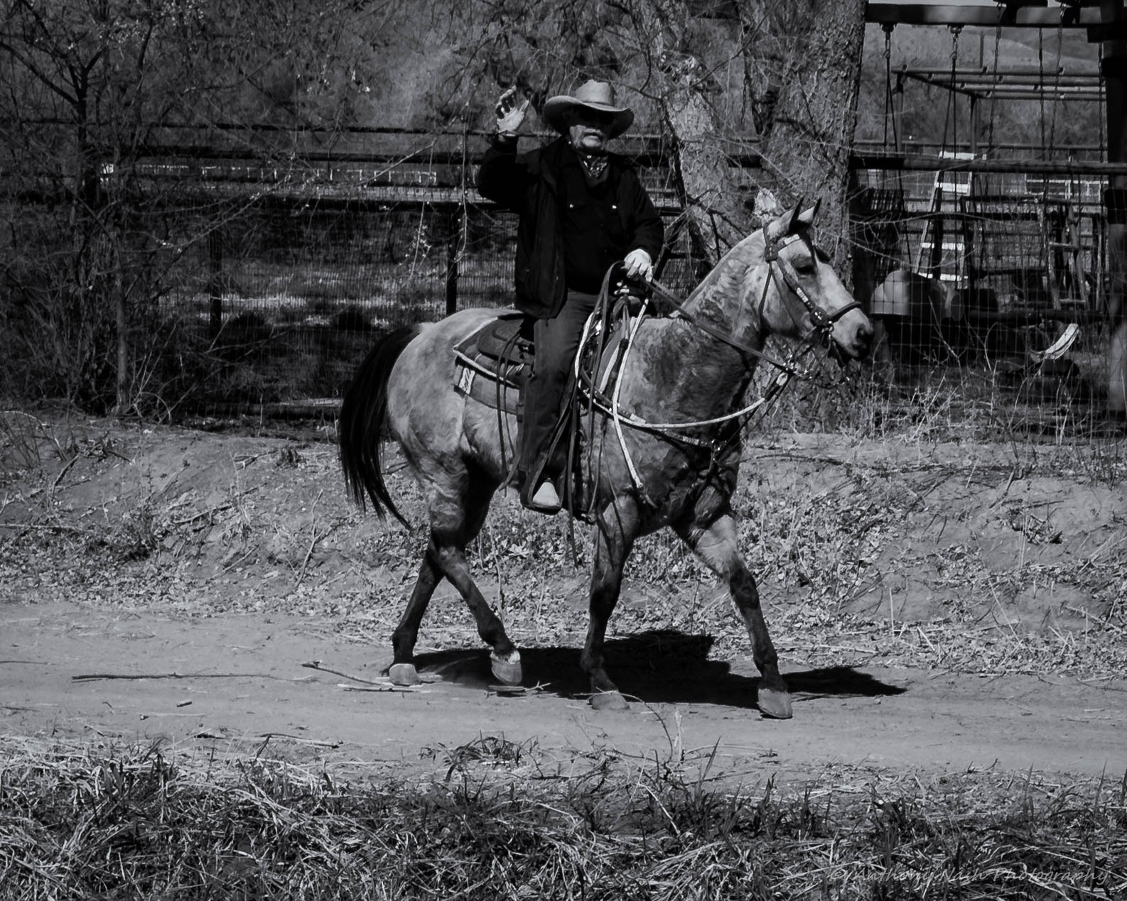Nikon 1 Nikkor VR 30-110mm F3.8-5.6 sample photo. Howdy cowboy photography