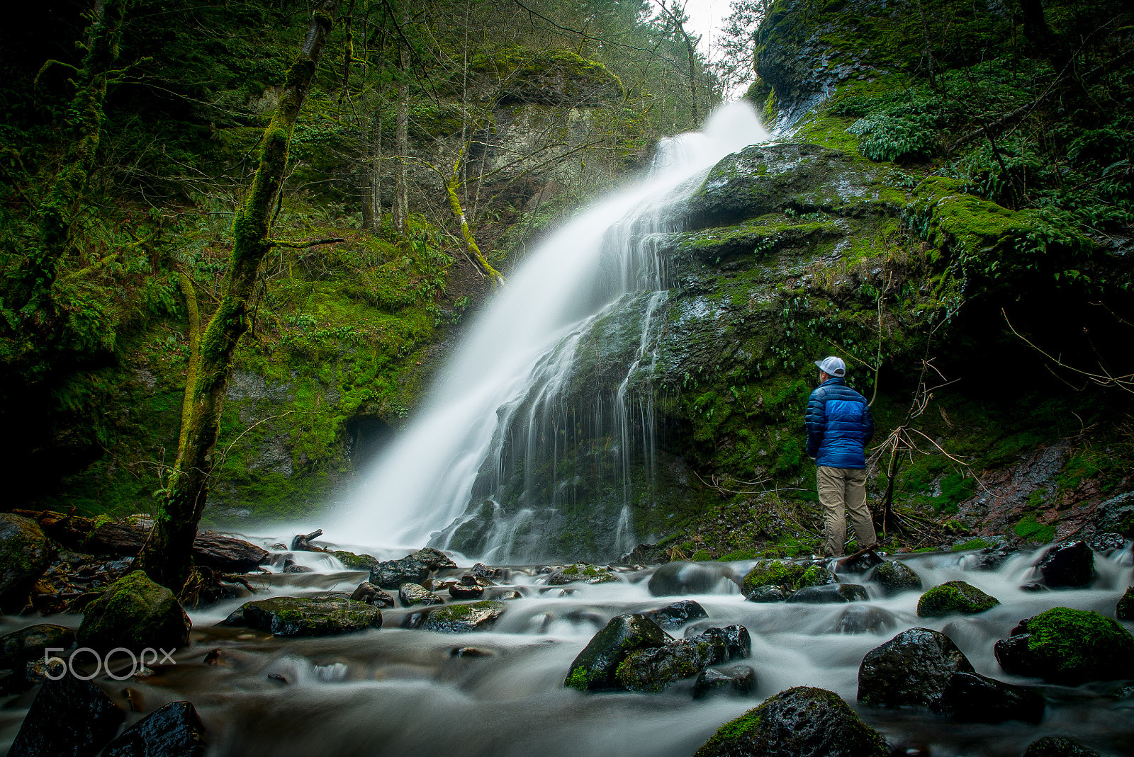 24-105mm F4 G SSM OSS sample photo. Peaceful cascade photography