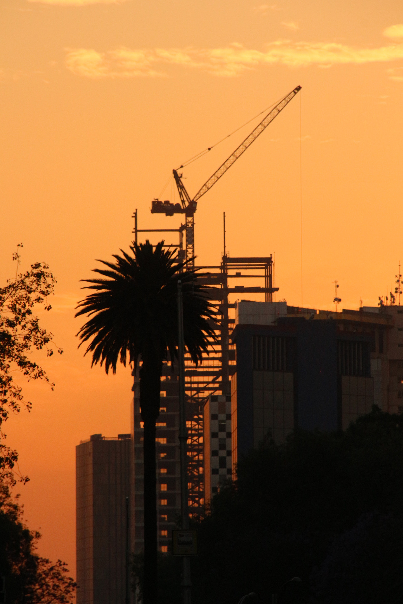 Canon 18-250mm sample photo
