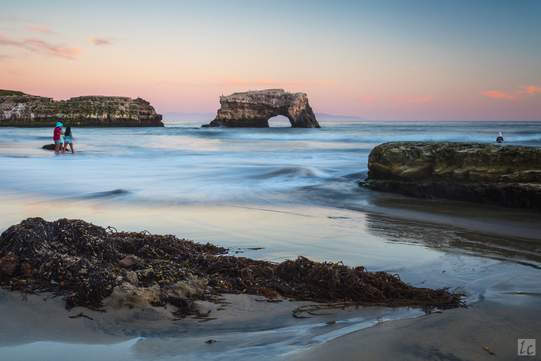 Canon EOS 5DS R + Canon EF 35mm F1.4L USM sample photo. Natural bridges state park, santa cruz photography