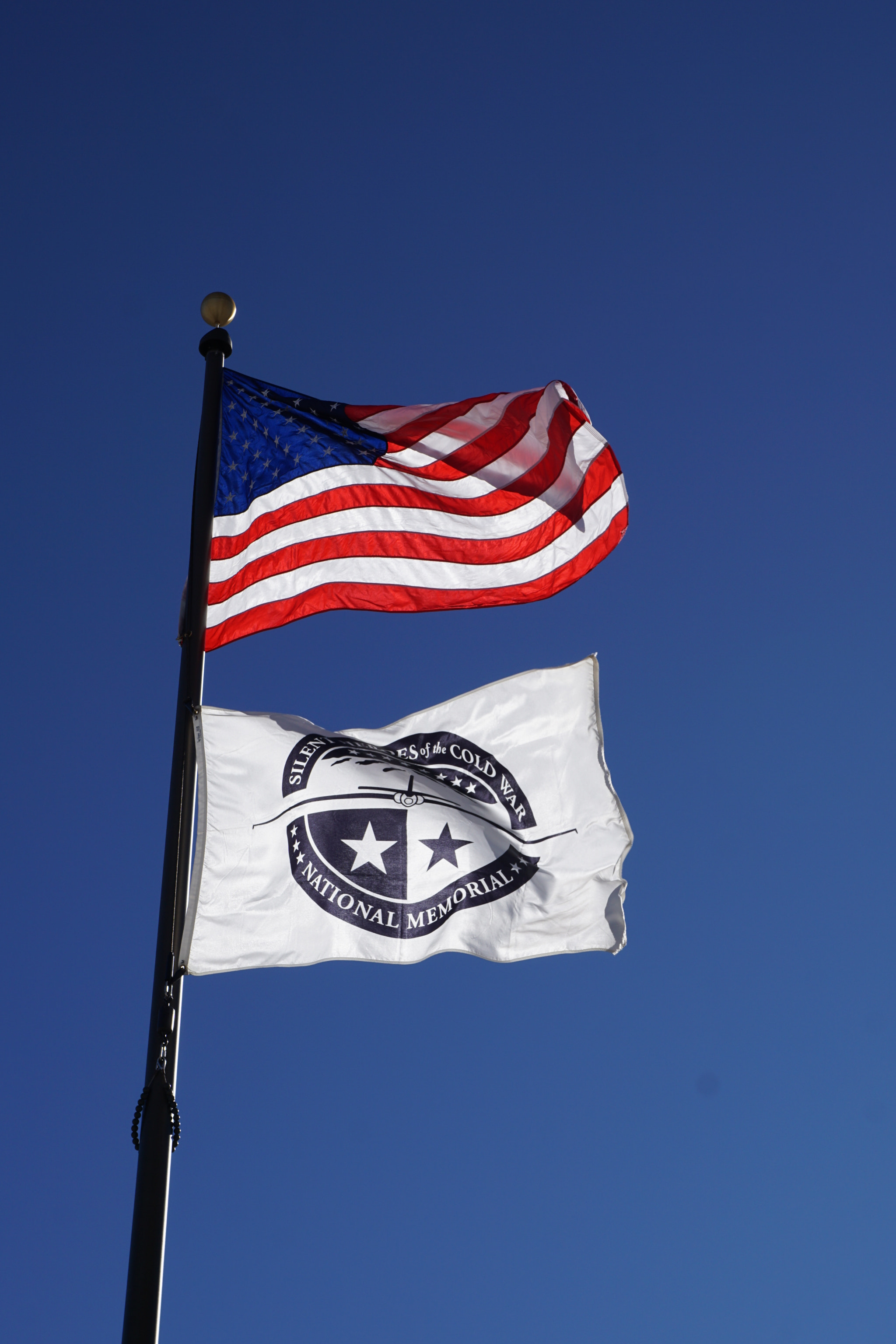 Sony E 18-55mm F3.5-5.6 OSS sample photo. Cold flags in nevada photography