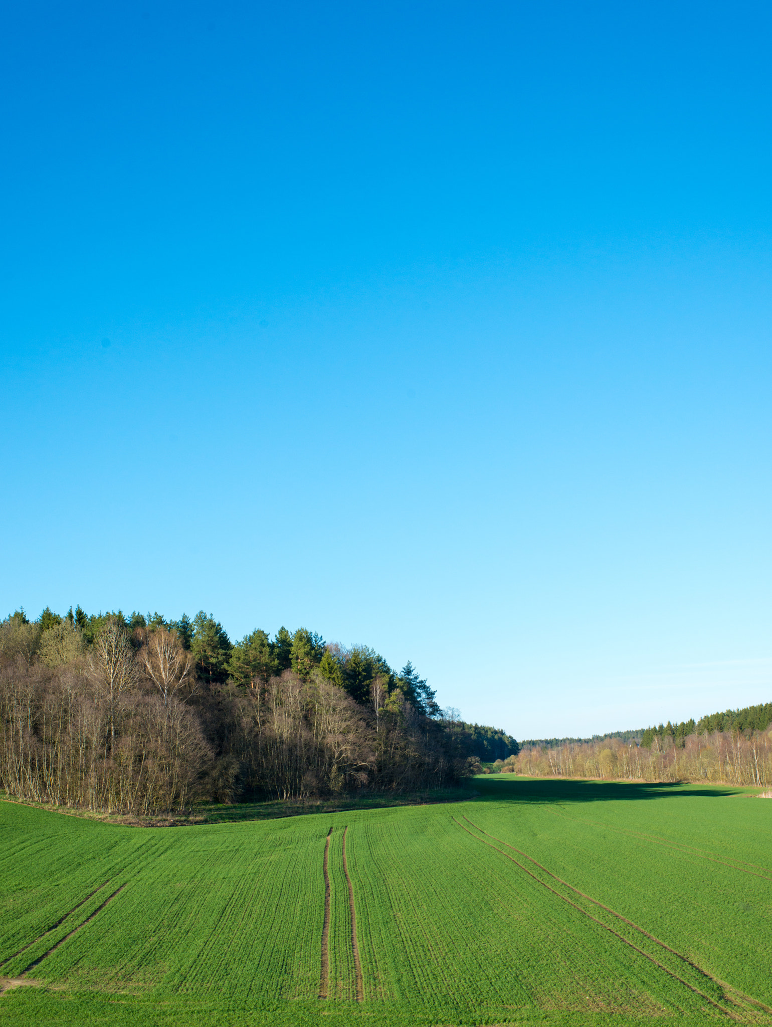 Nikon D800E + Nikon AF-S Nikkor 35mm F1.4G sample photo. Spring landscape photography