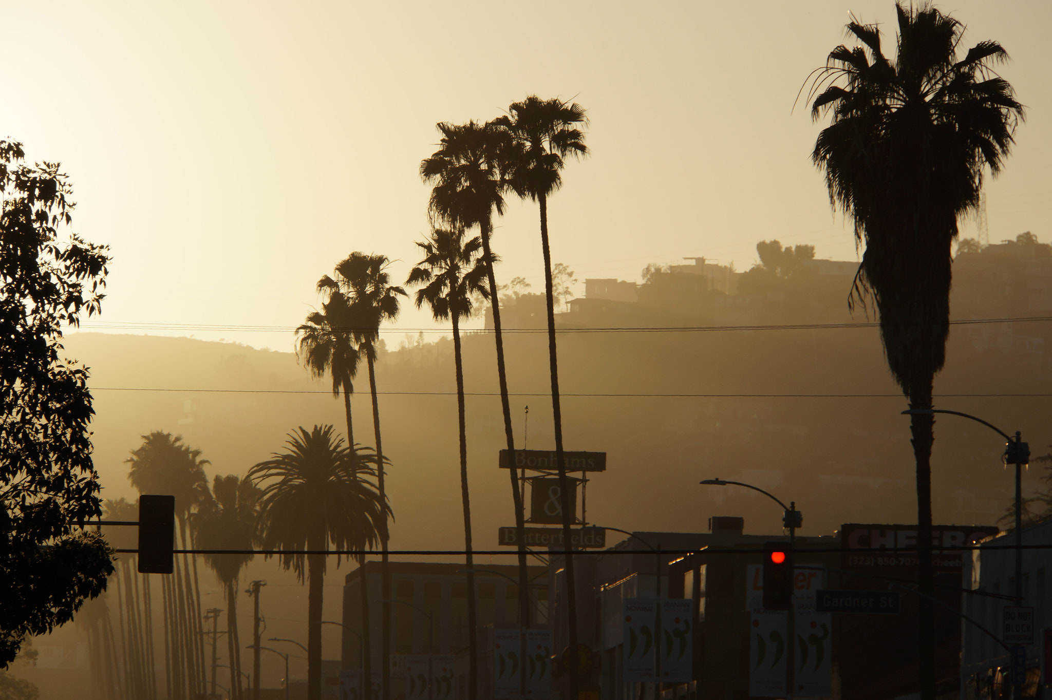 Sony E 18-200mm F3.5-6.3 OSS sample photo. Sunset in hollywood: spring 2015 photography