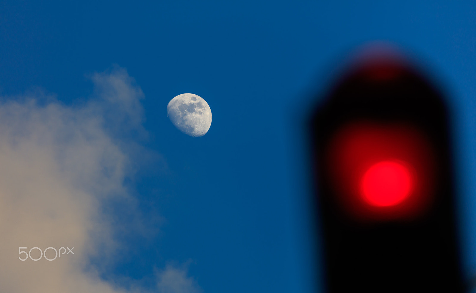 Canon EF 100-400mm F4.5-5.6L IS II USM sample photo