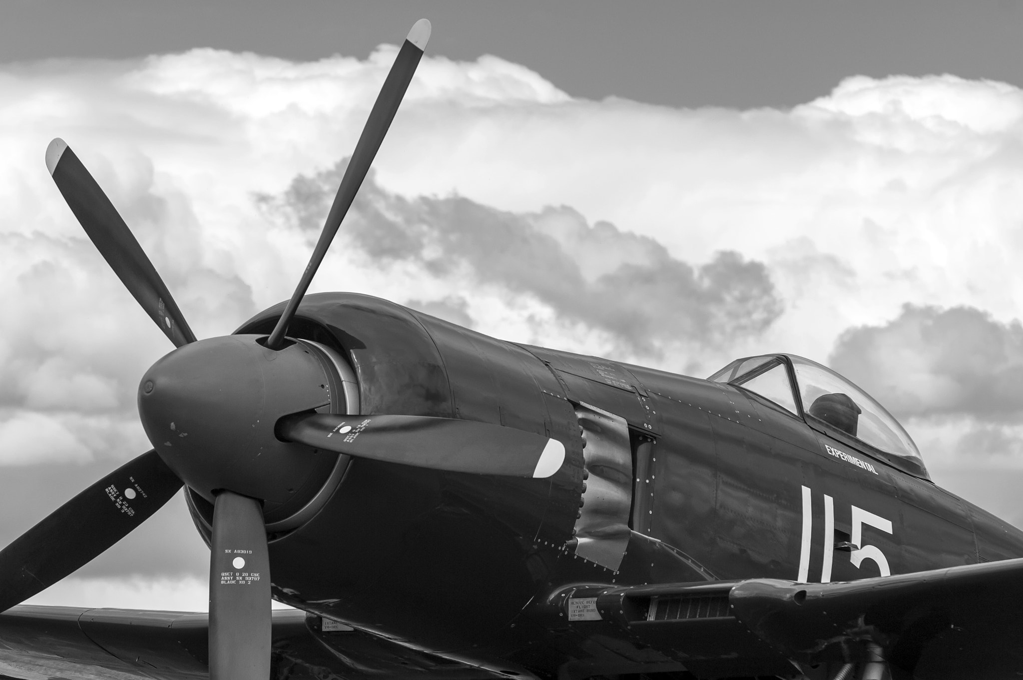 Nikon D2X sample photo. Hawker sea fury photography