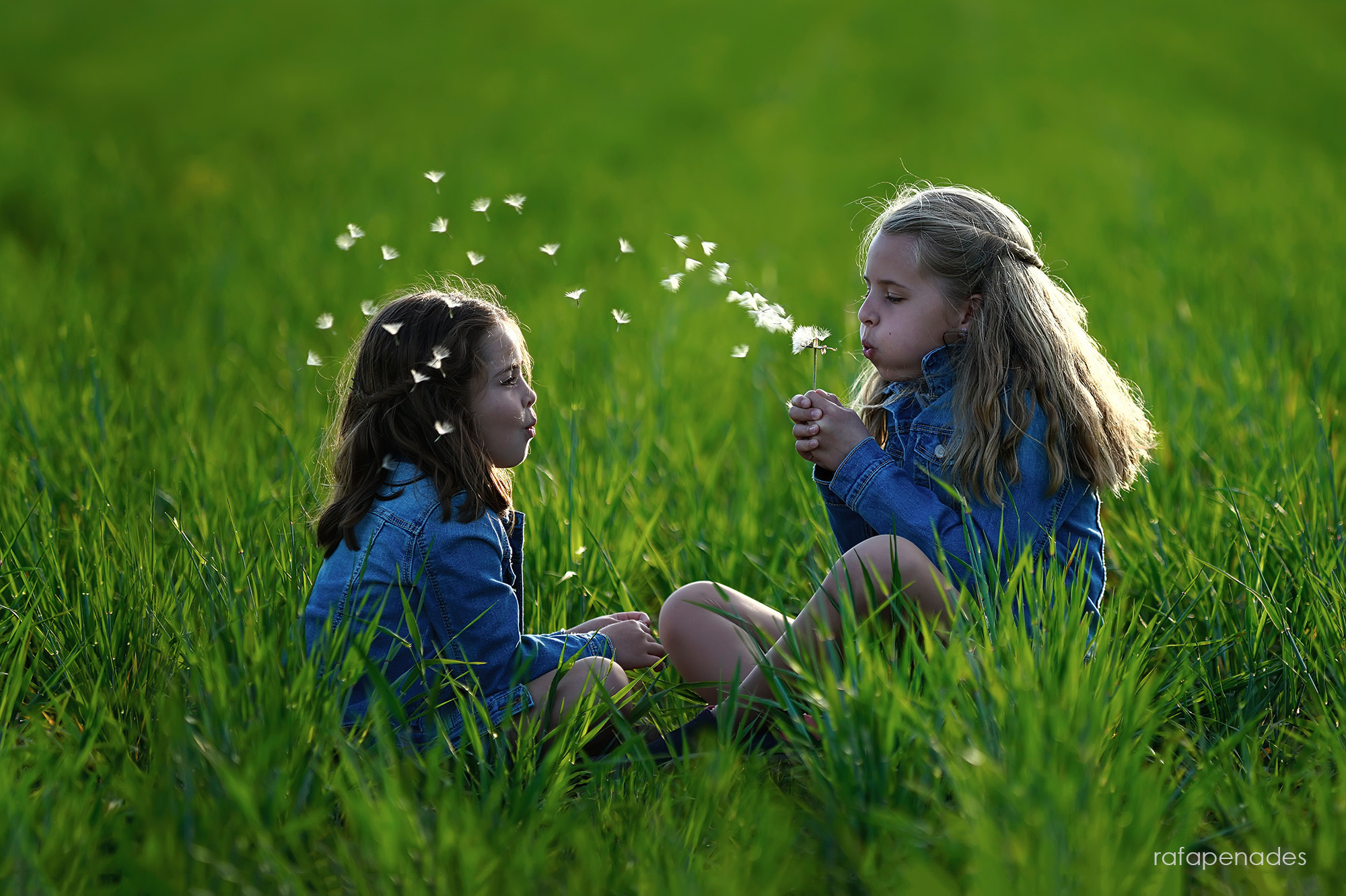 Minolta/Sony AF 70-200mm F2.8 G sample photo. The magic moment photography
