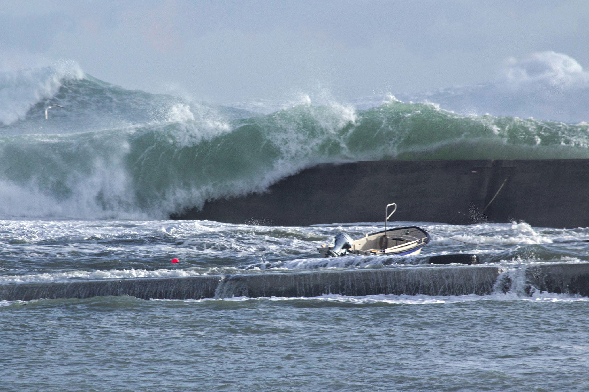 Canon EF 100-300mm f/5.6L sample photo. David contre goliath photography