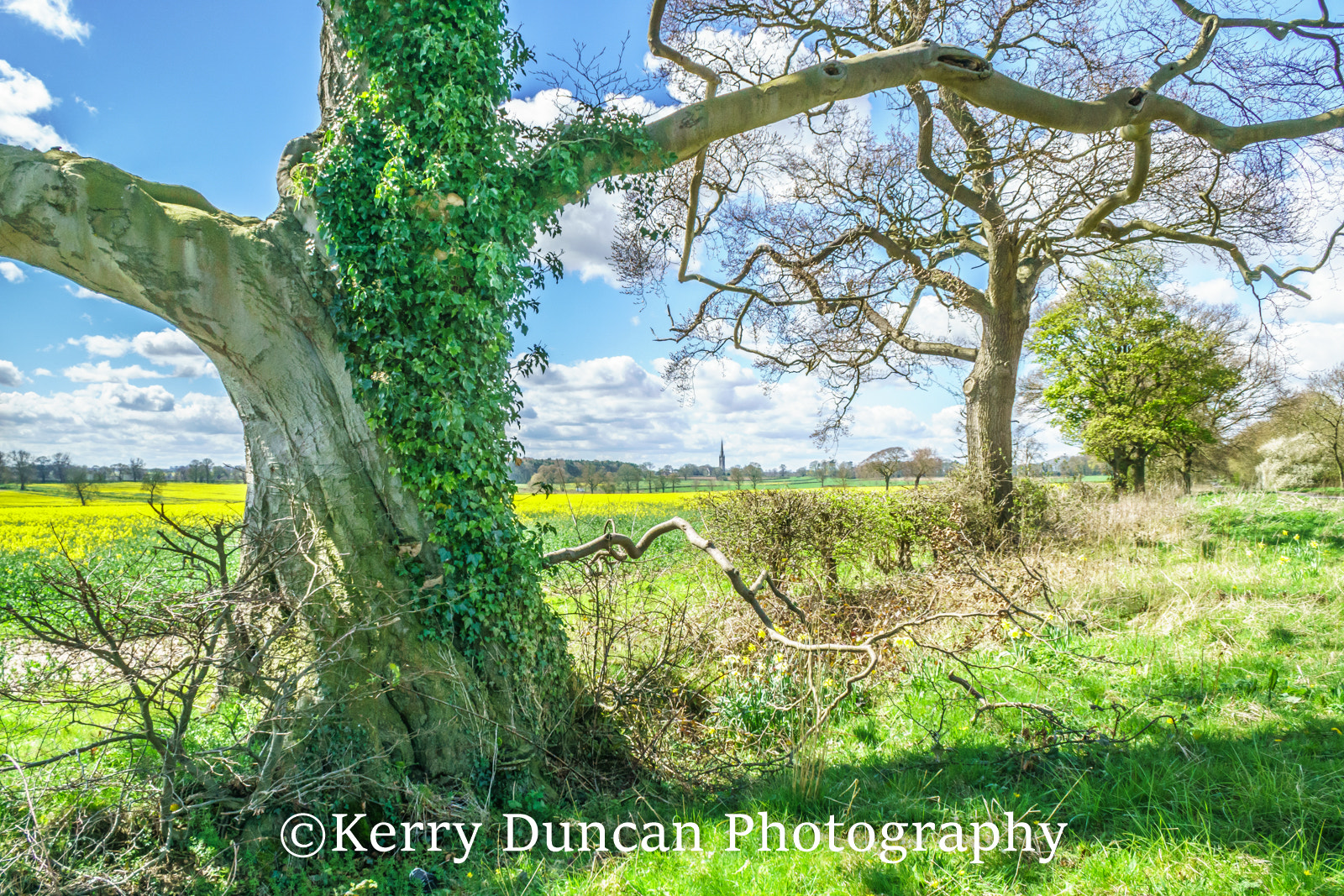 Sony DT 18-70mm F3.5-5.6 sample photo. Looking towards south dalton photography
