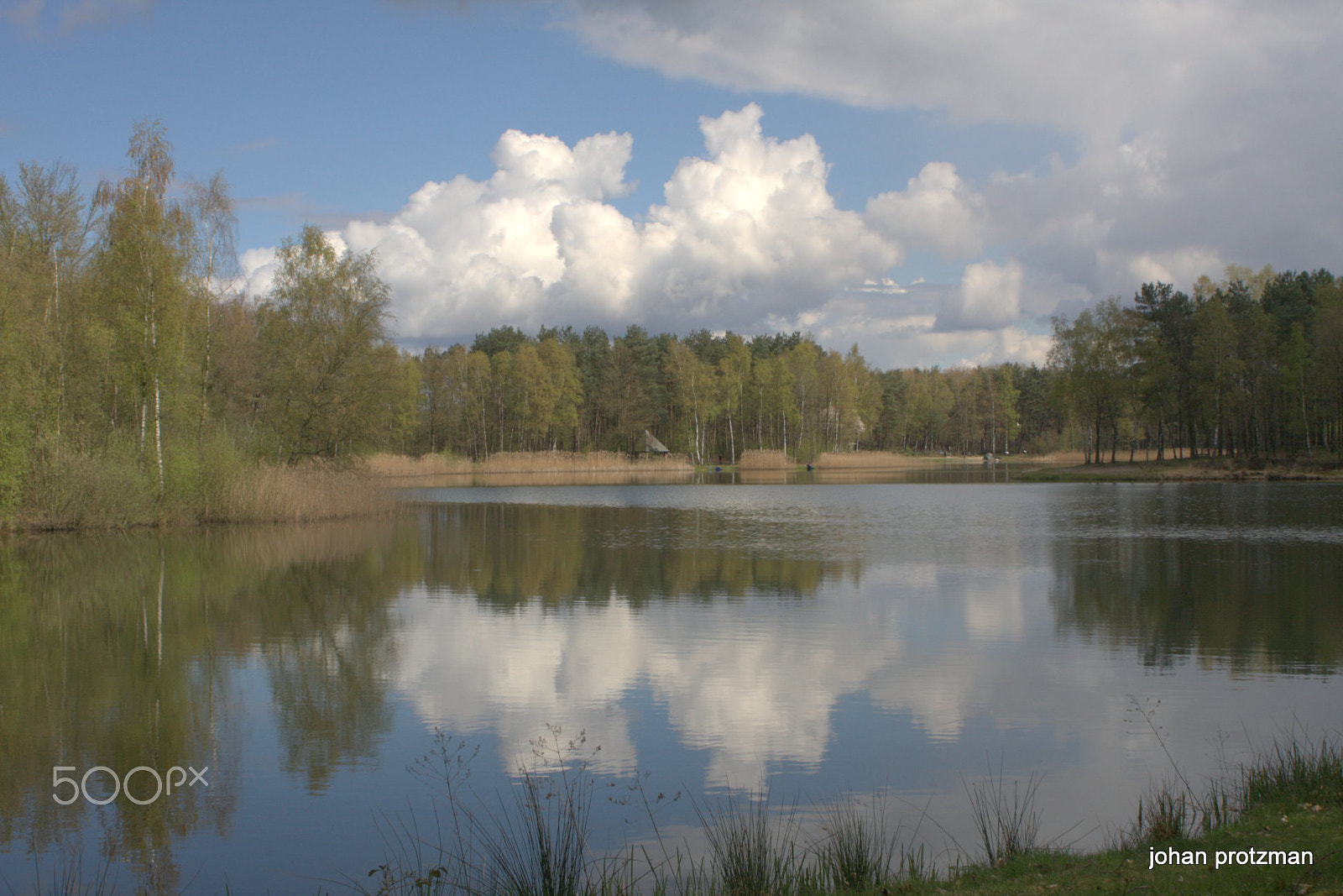 Canon EF 28-80mm f/3.5-5.6 USM sample photo. Visvijver bladel photography