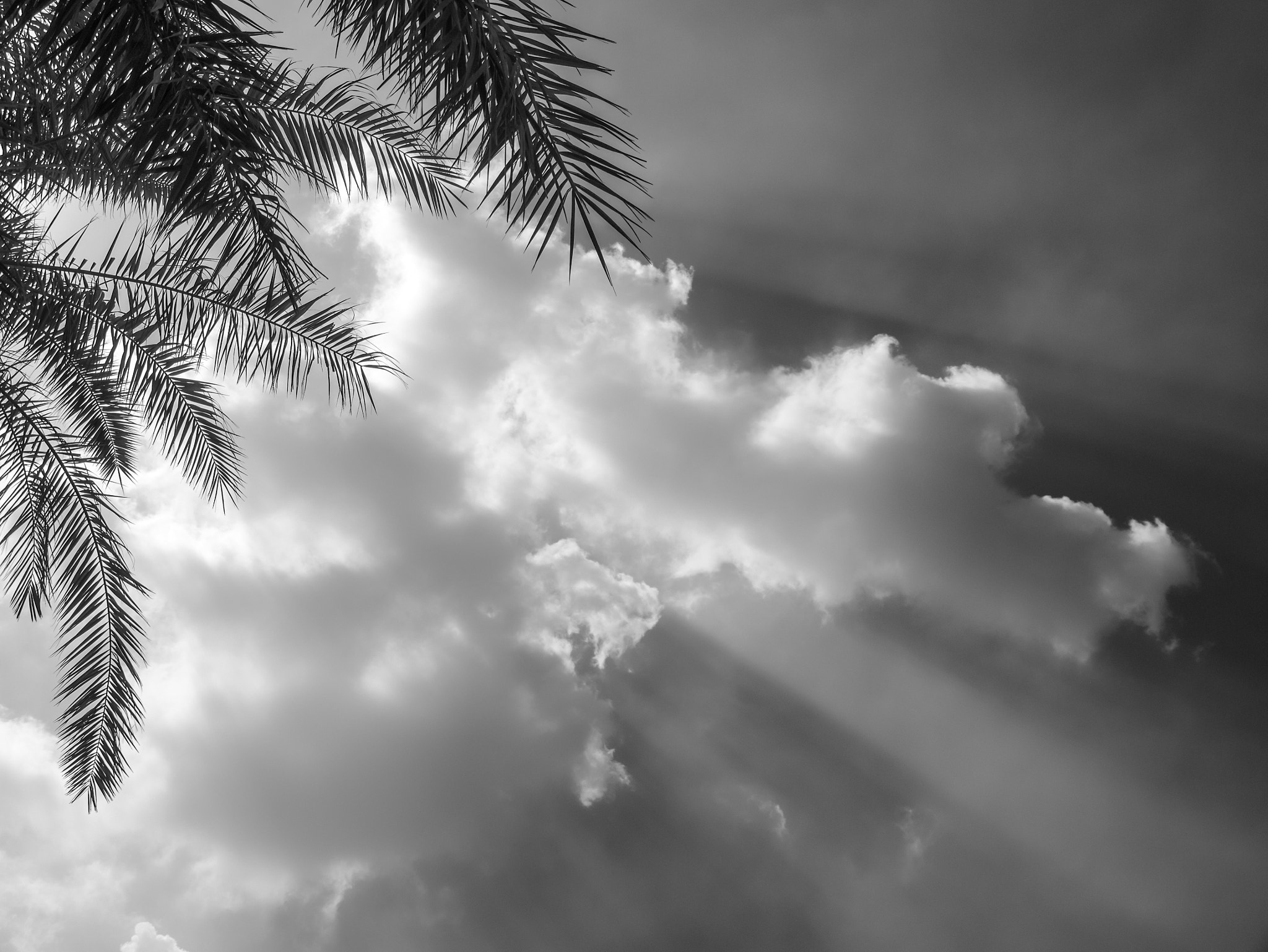 Panasonic Lumix DMC-GX1 sample photo. Sunlight through clouds photography
