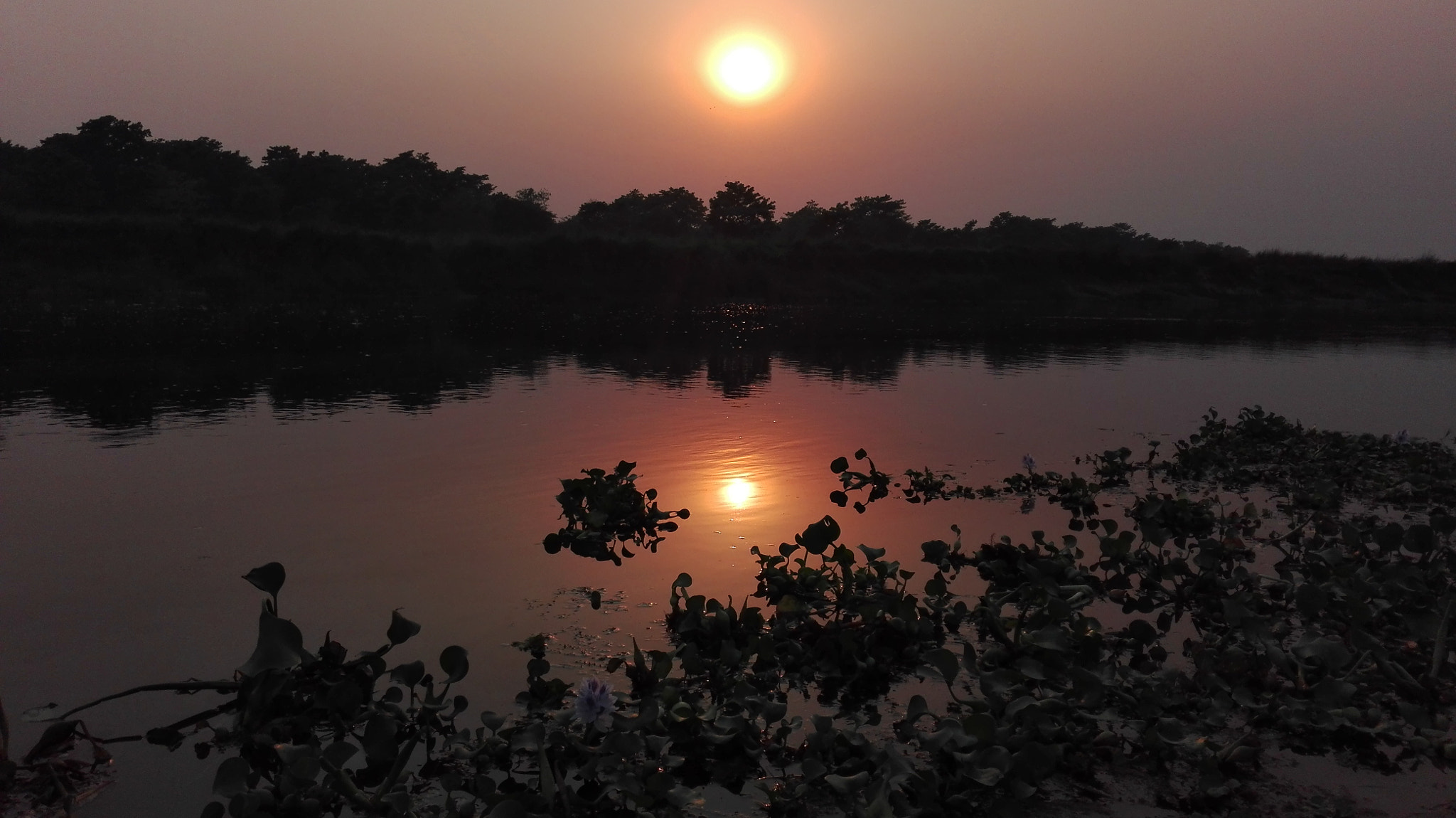 HUAWEI Che2-L11 sample photo. East rapti river, sauraha, chitwan photography