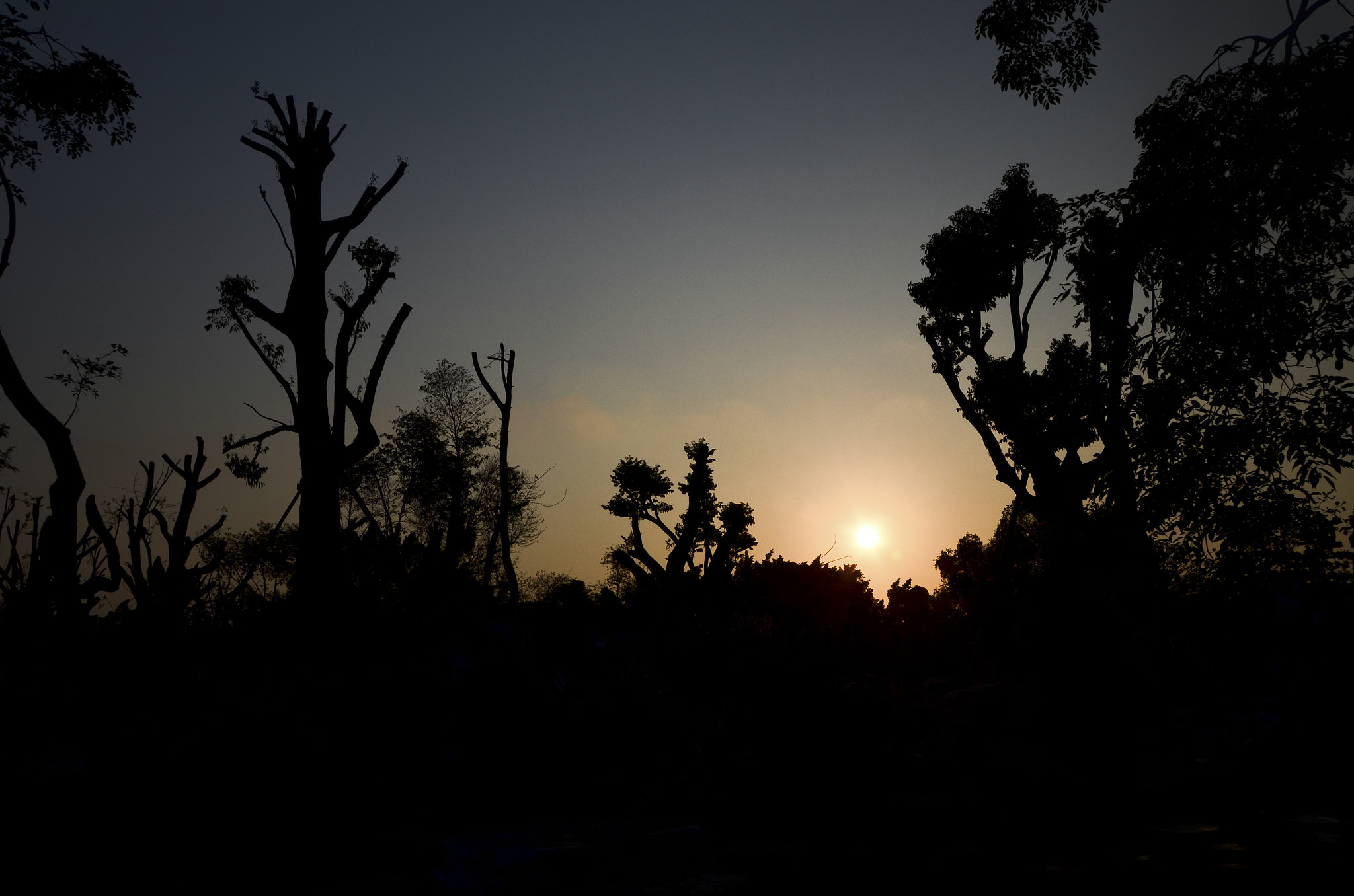 Nikon D7000 + AF Nikkor 50mm f/1.8 N sample photo. Silhouette in pattaya, thailand photography