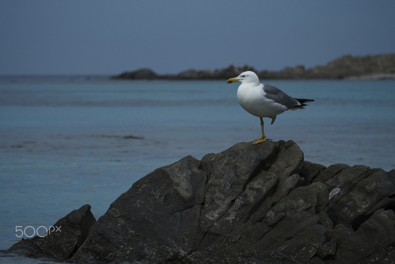 Nikon 1 V1 sample photo. 6.jpg photography