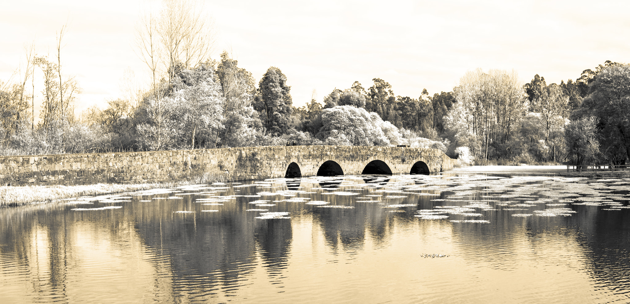 Sony SLT-A55 (SLT-A55V) sample photo. Ponte do marnel ii photography
