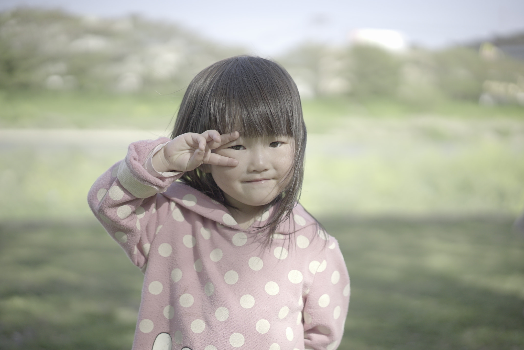 Sony a7S + Sony Sonnar T* FE 55mm F1.8 ZA sample photo. Ps0417 yumesaki photography
