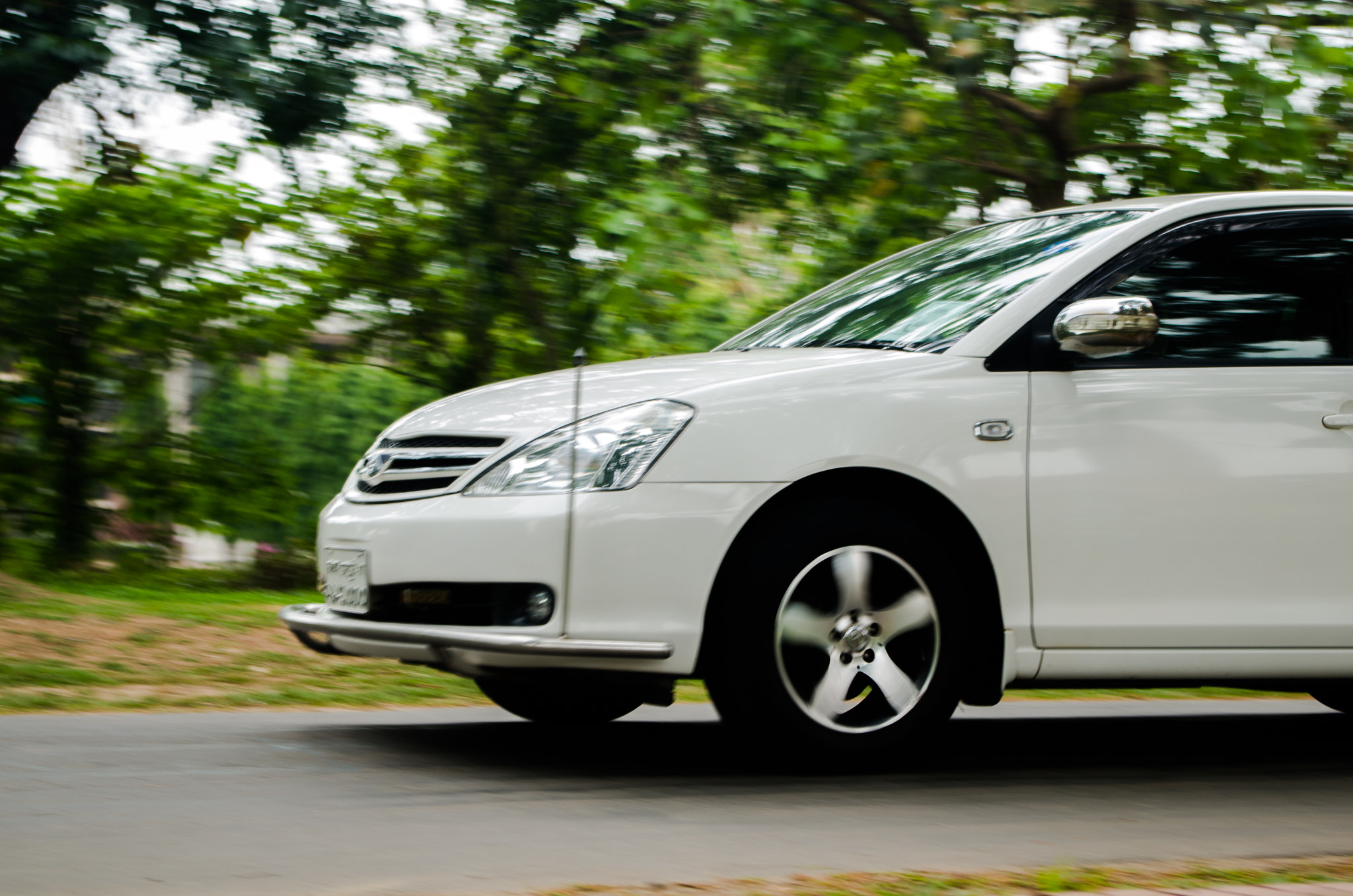 Pentax K-30 sample photo. White horsepower photography