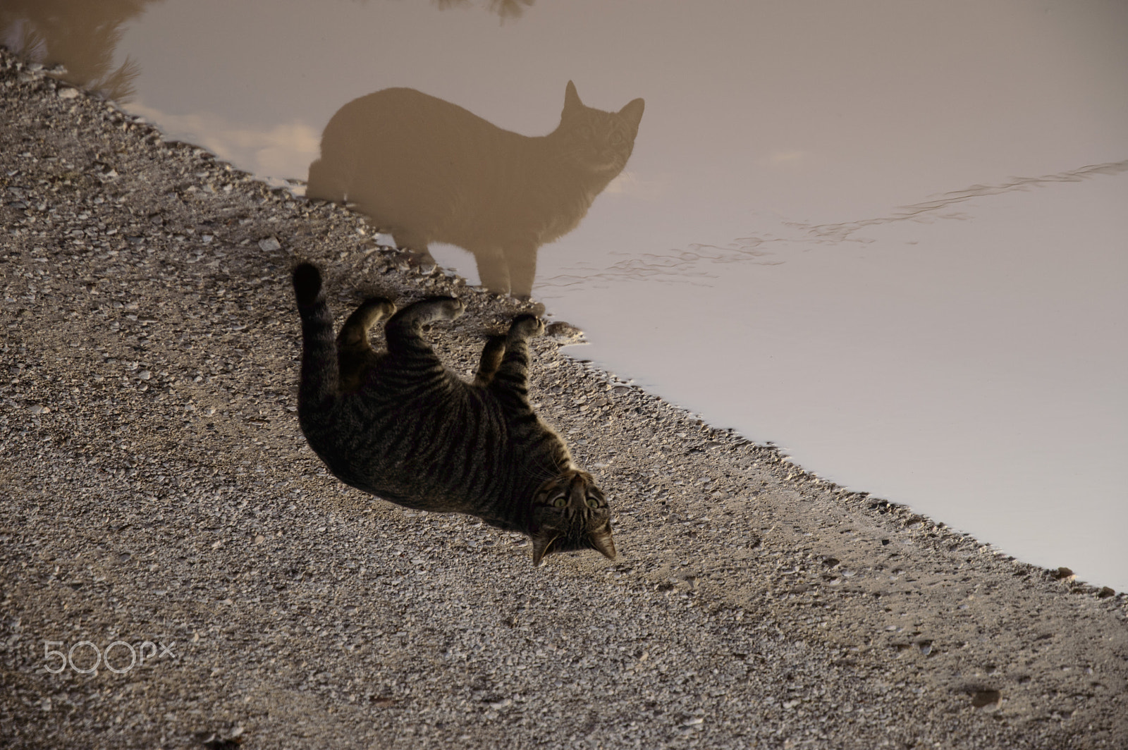 Nikon D3200 + Sigma 17-70mm F2.8-4 DC Macro OS HSM | C sample photo. The world upside down photography