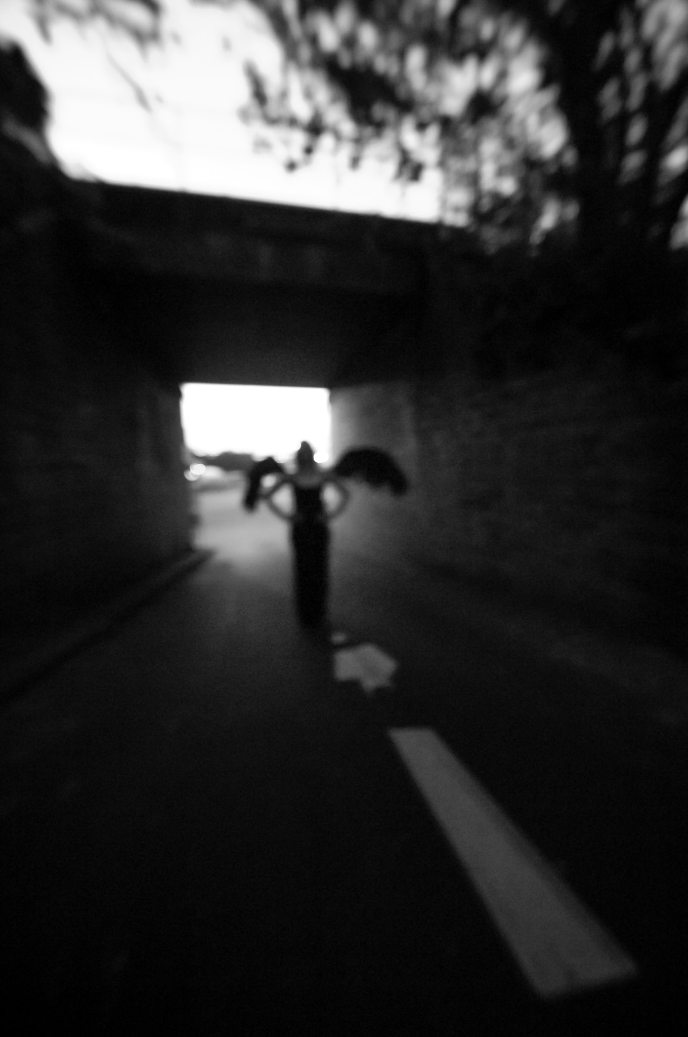 Nikon D2X sample photo. Angel series 2012 photography