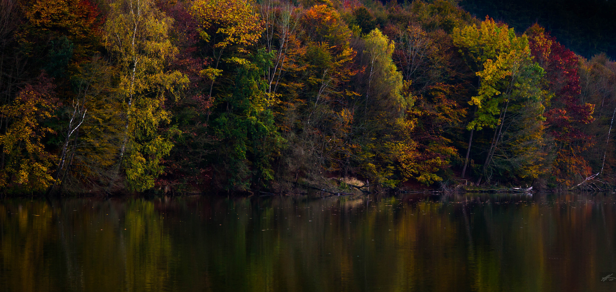 ZEISS Makro-Planar T* 100mm F2 sample photo. Autum photography