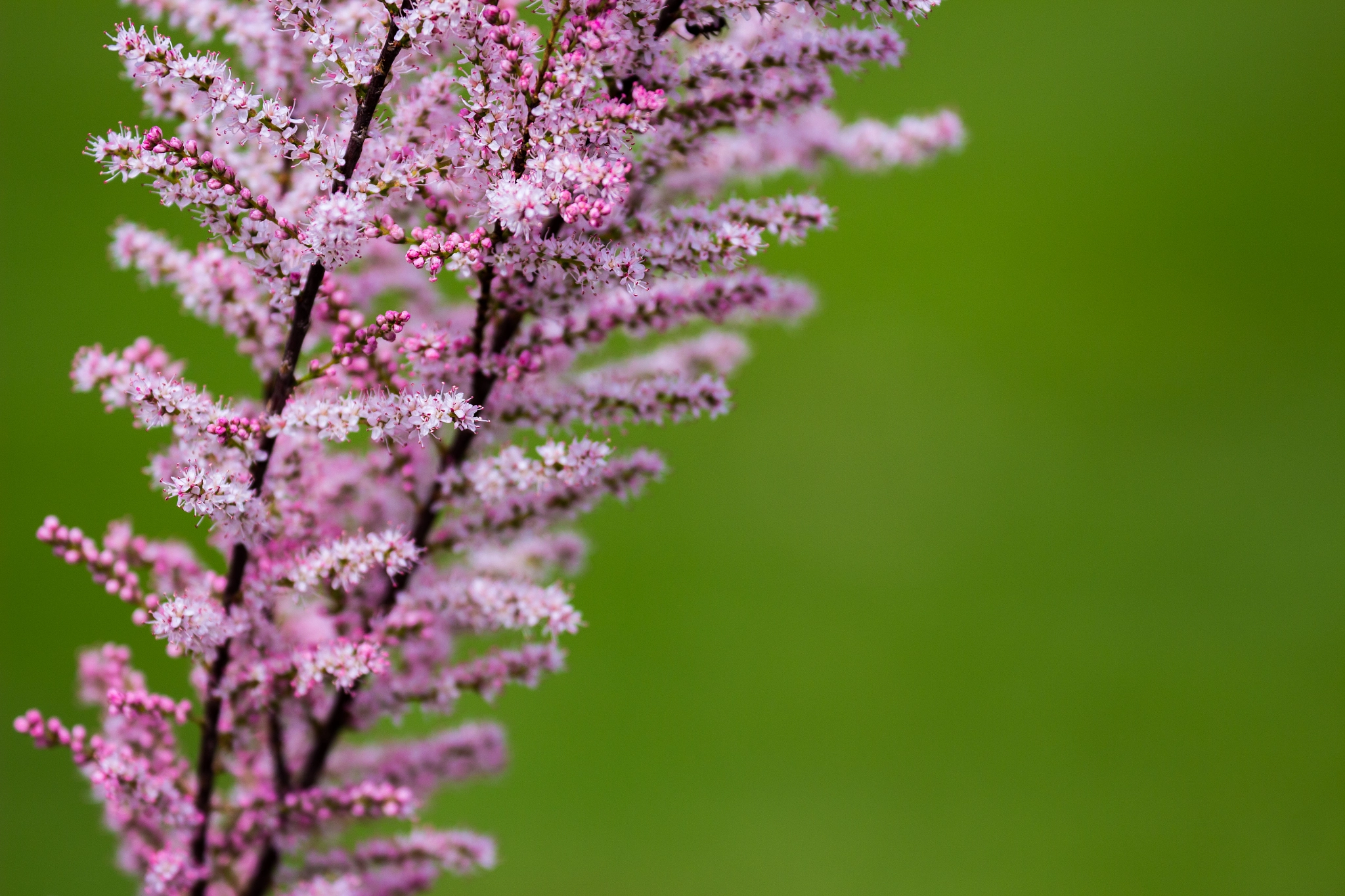 Canon EF 70-300mm F4-5.6L IS USM sample photo. Different view photography