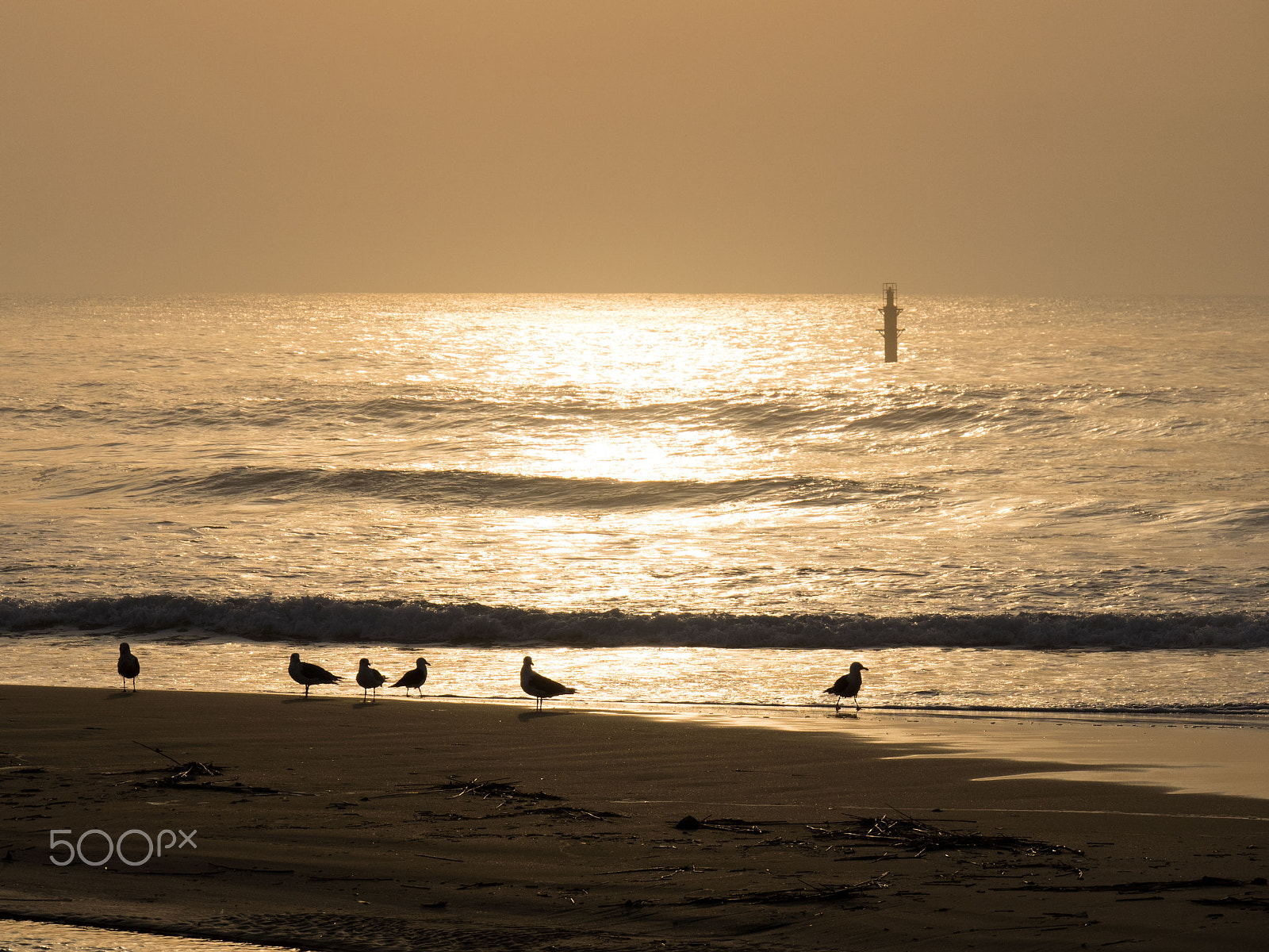 Panasonic Lumix G X Vario 35-100mm F2.8 OIS sample photo. Morning light 3 photography