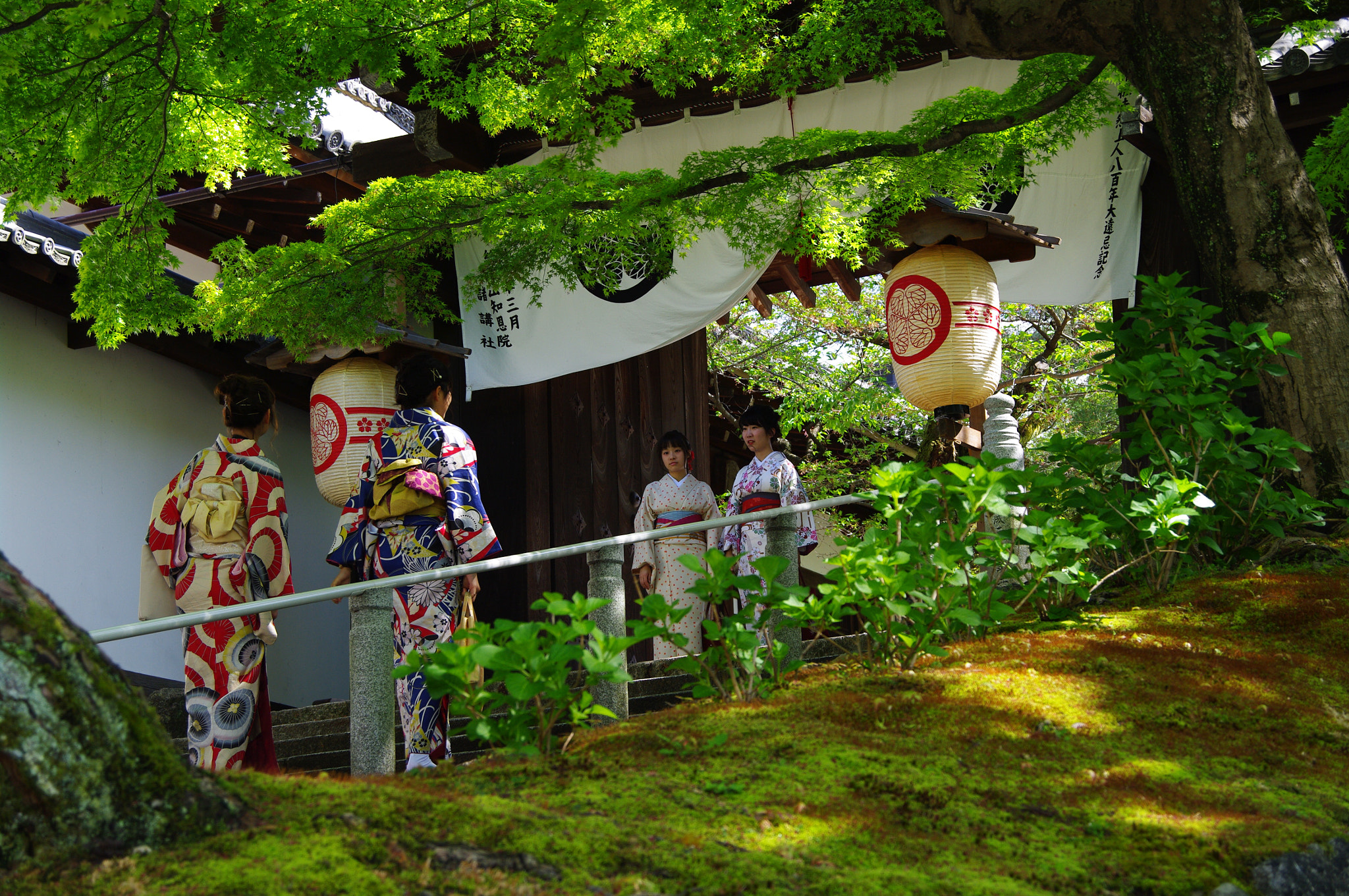 Pentax K20D sample photo. Beautiful day from kyoto ! photography