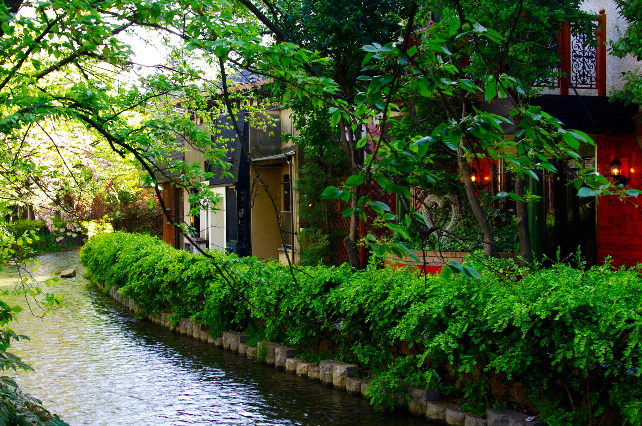 Pentax K20D sample photo. The city photography