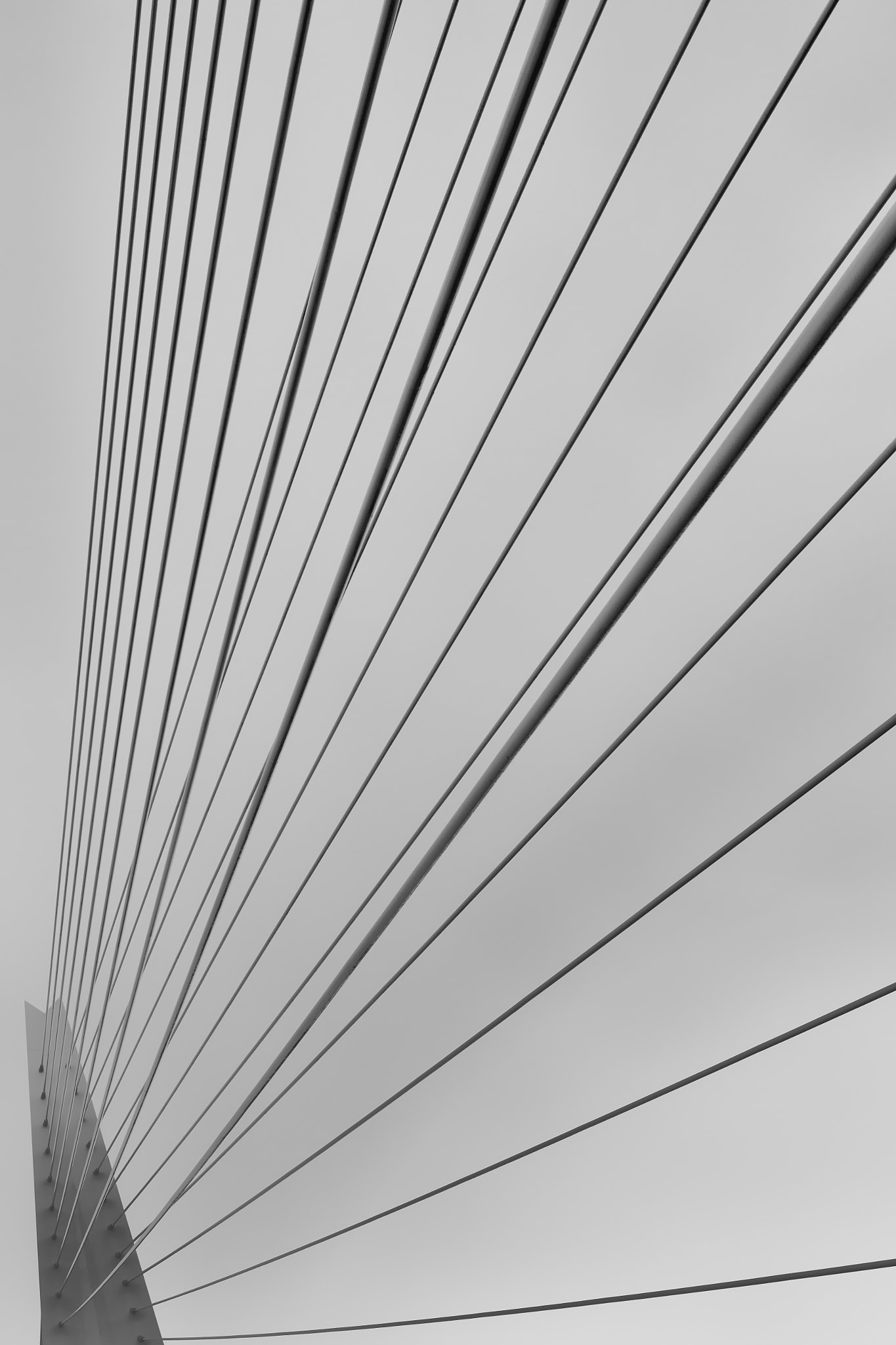 Canon EF 24-70mm F4L IS USM sample photo. Erasmus bridge photography