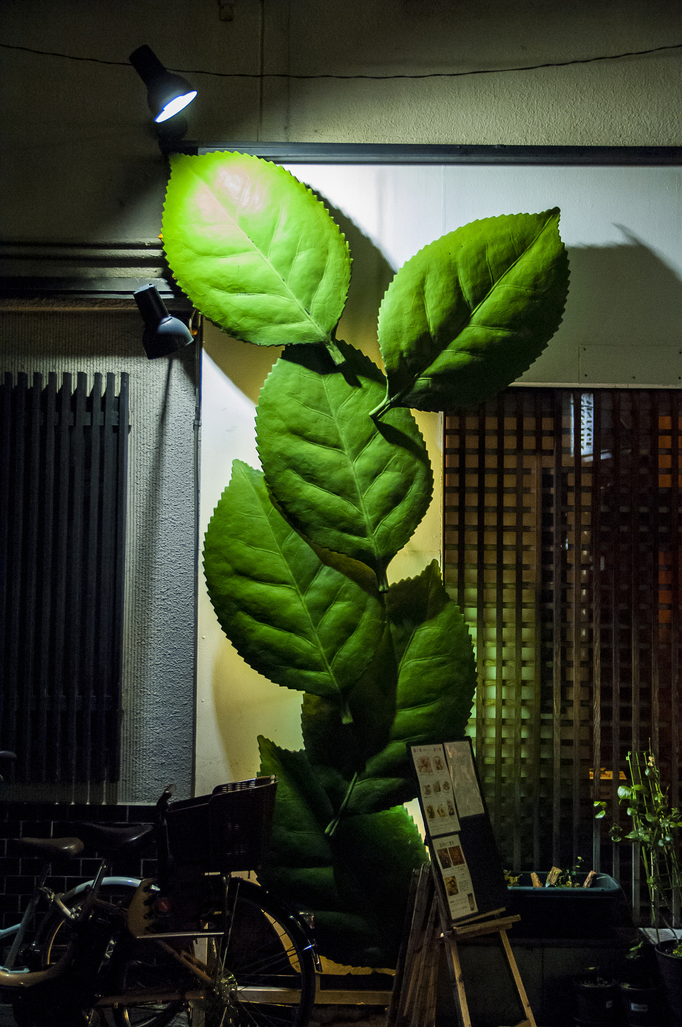 Nikon D2X + Sigma 18-50mm F2.8 EX DC Macro sample photo. 20160224_osaka002 photography