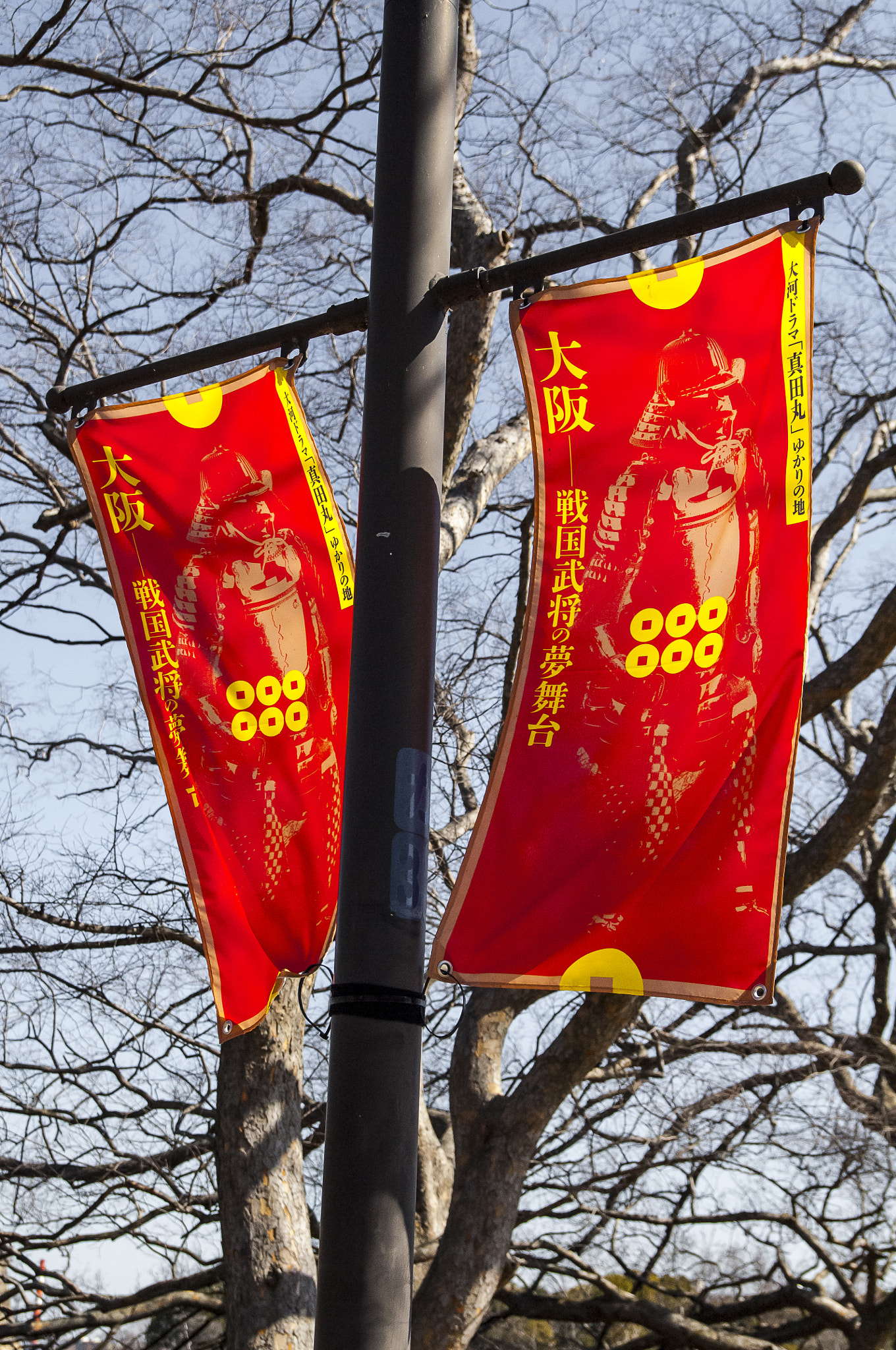 Nikon D2X + Sigma 18-50mm F2.8 EX DC Macro sample photo. 20160225_osaka(banner in osaka-jo) photography