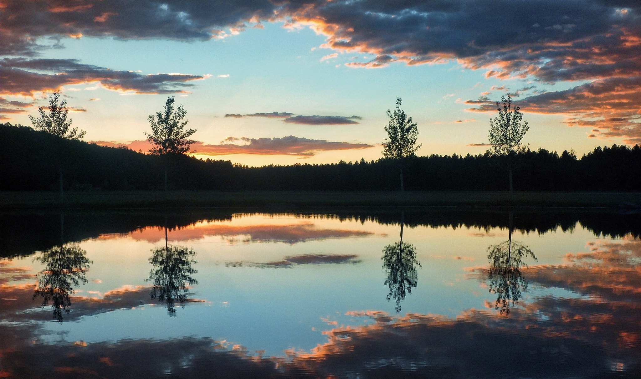 Samsung PL150 / VLUU PL150 /  TL210 /  PL151 sample photo. Wedding sunset photography