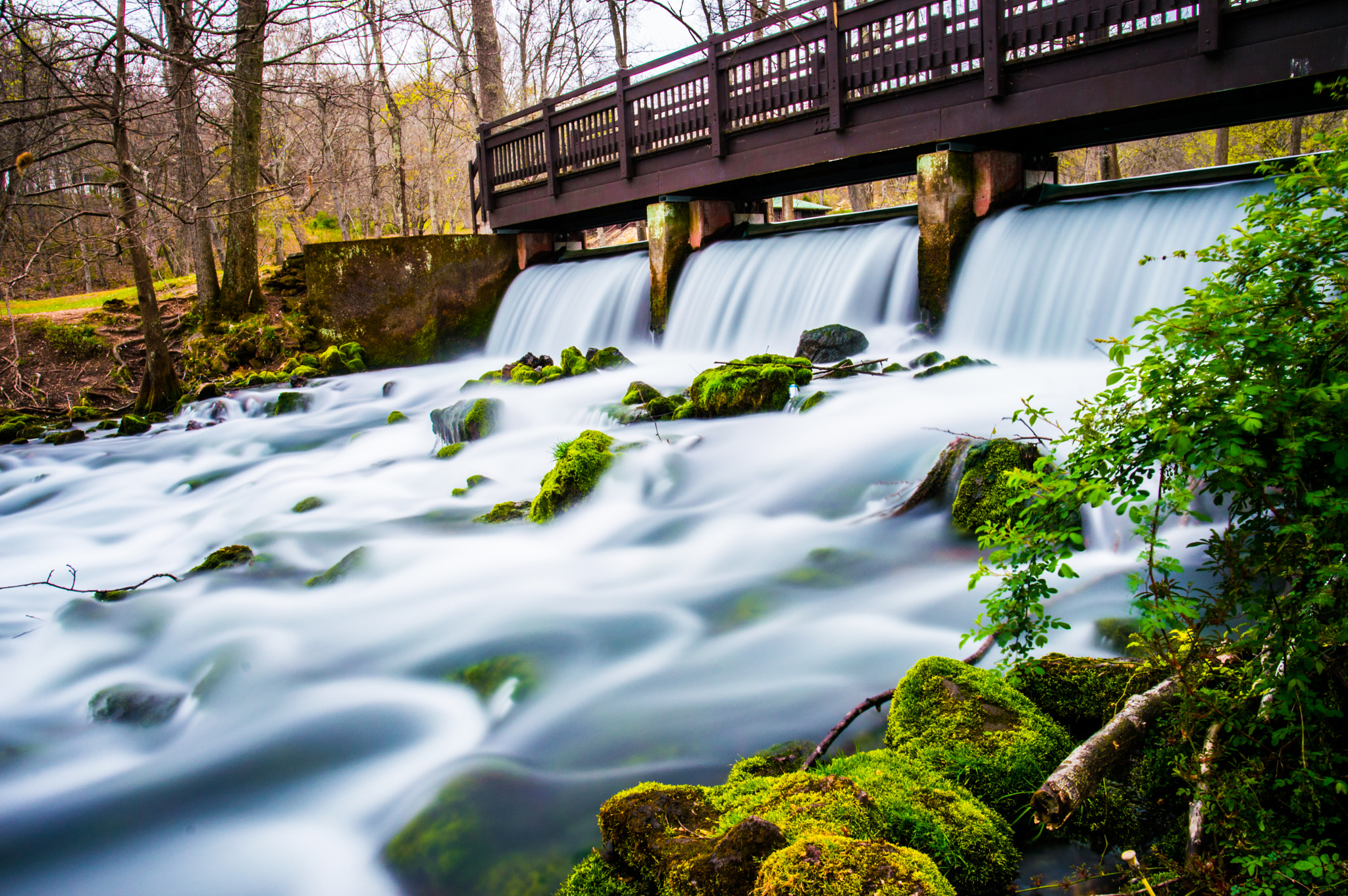 Nikon D3200 + Samyang 16mm F2 ED AS UMC CS sample photo. Maramec spring photography