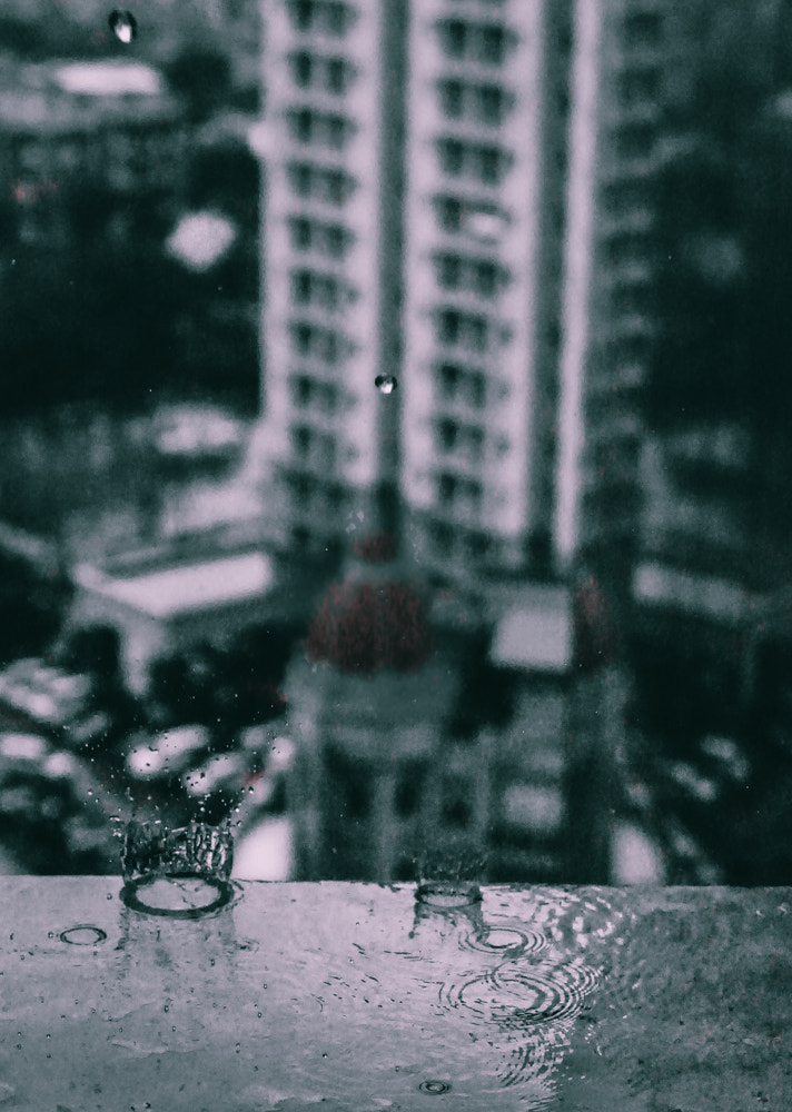 Sony Alpha a5000 (ILCE 5000) + E 50mm F1.8 OSS sample photo