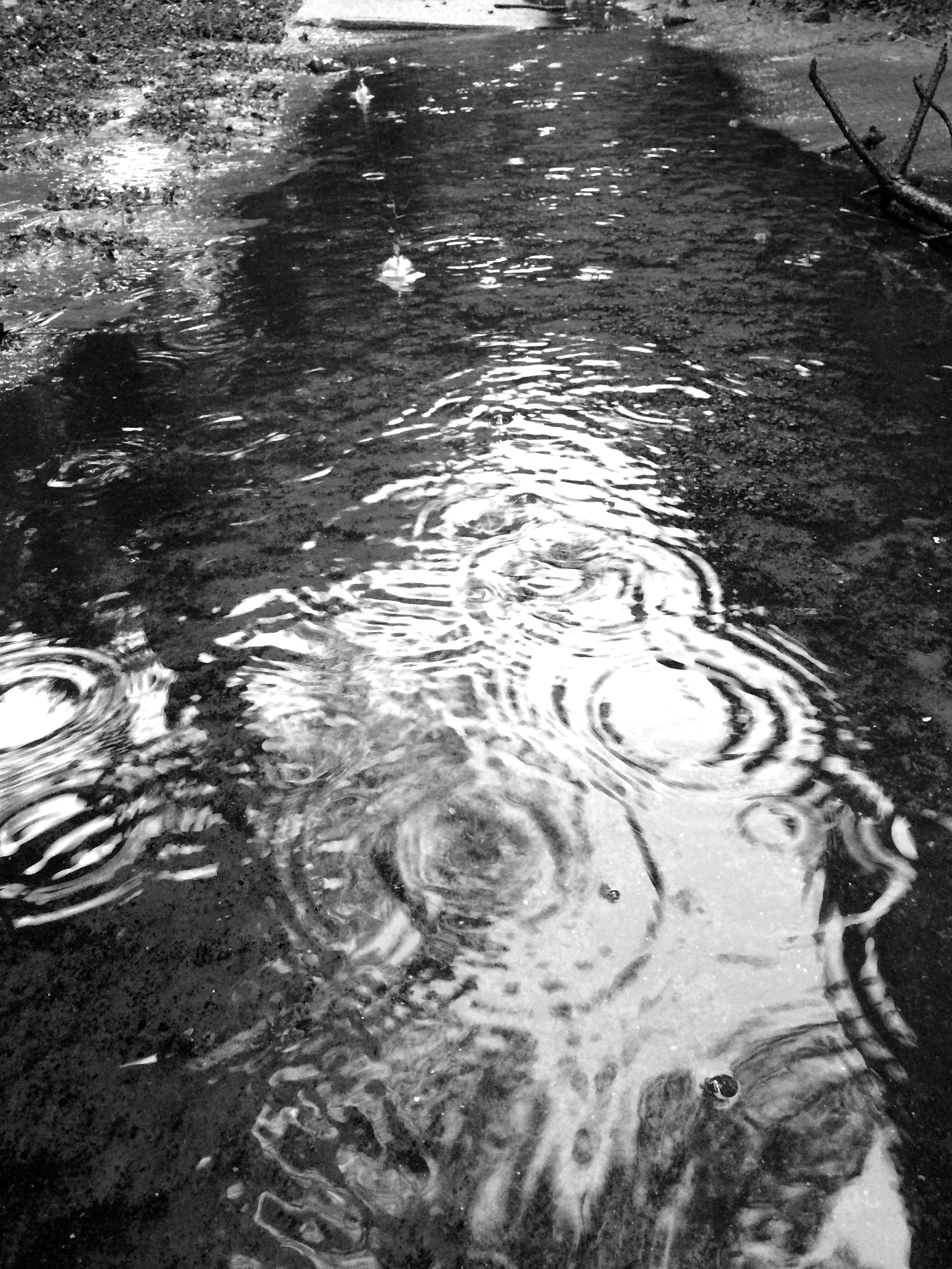 Curious Satellite Hueless on iPhone sample photo