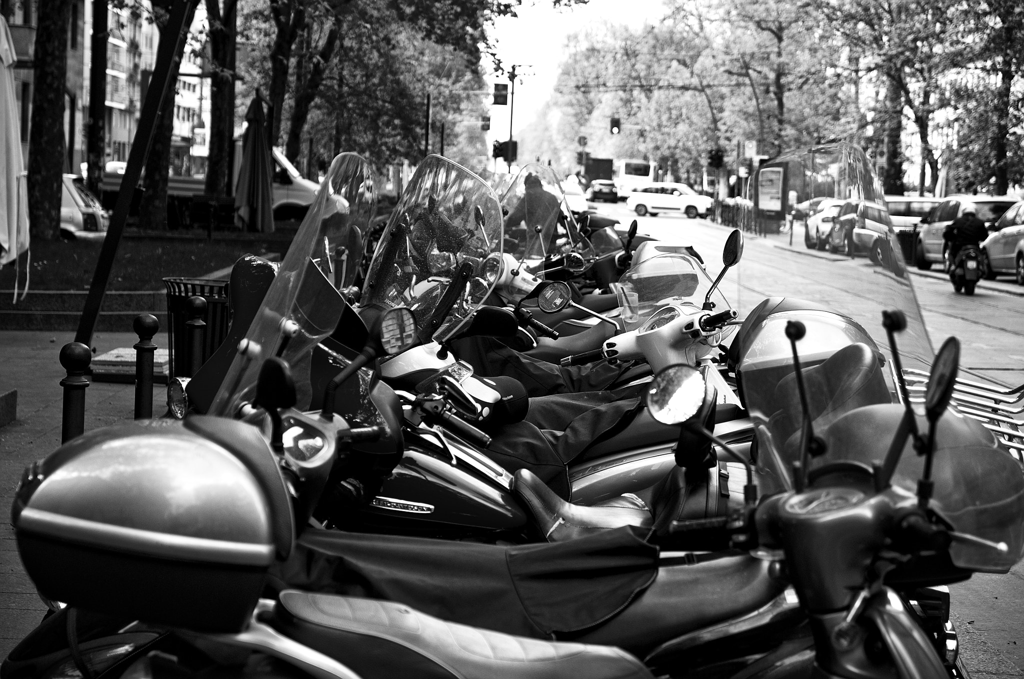 Sigma 17-70mm F2.8-4 DC Macro OS HSM | C sample photo. Chaotic order photography