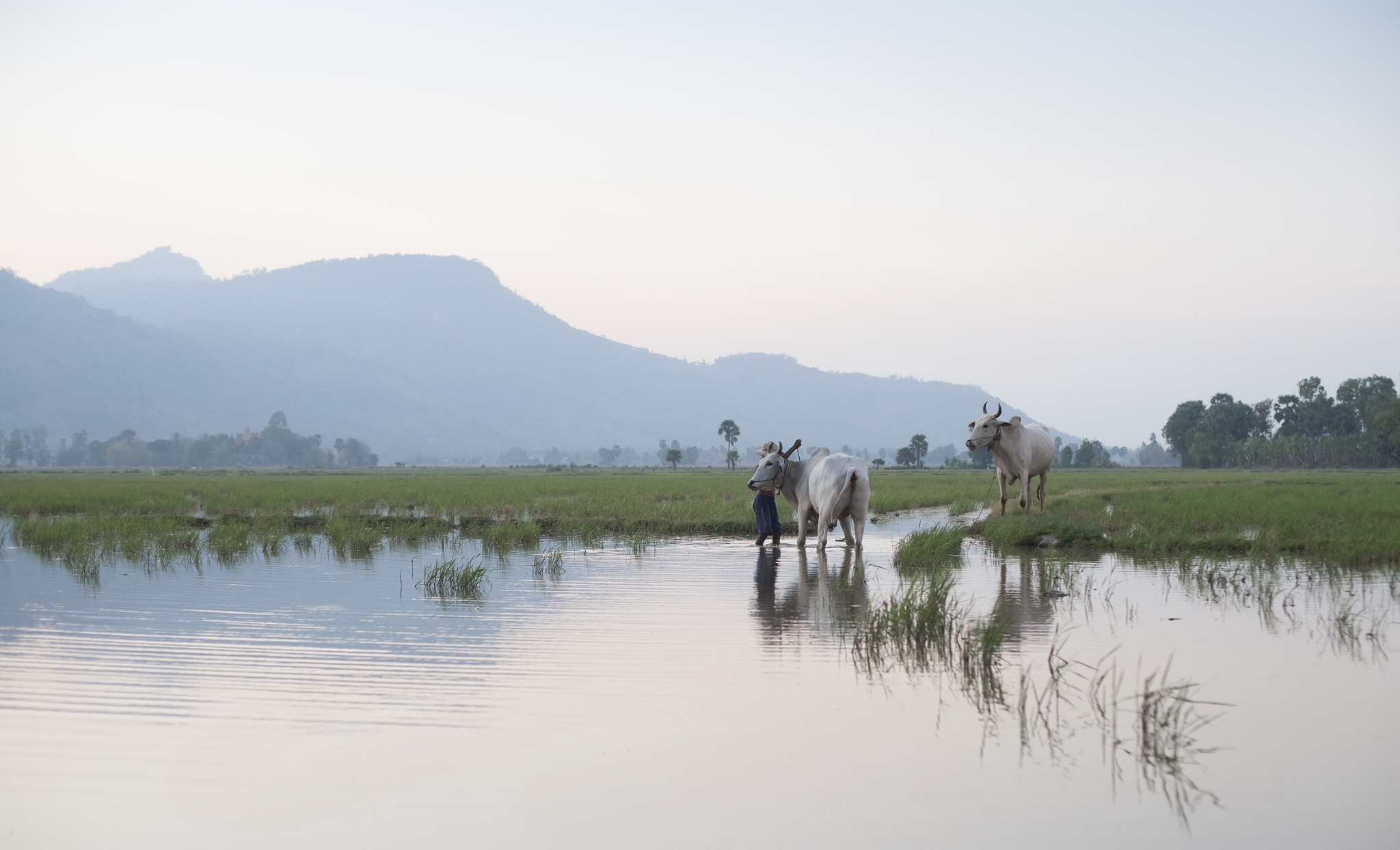 Canon EF 50mm F1.4 USM sample photo. Tam bo photography
