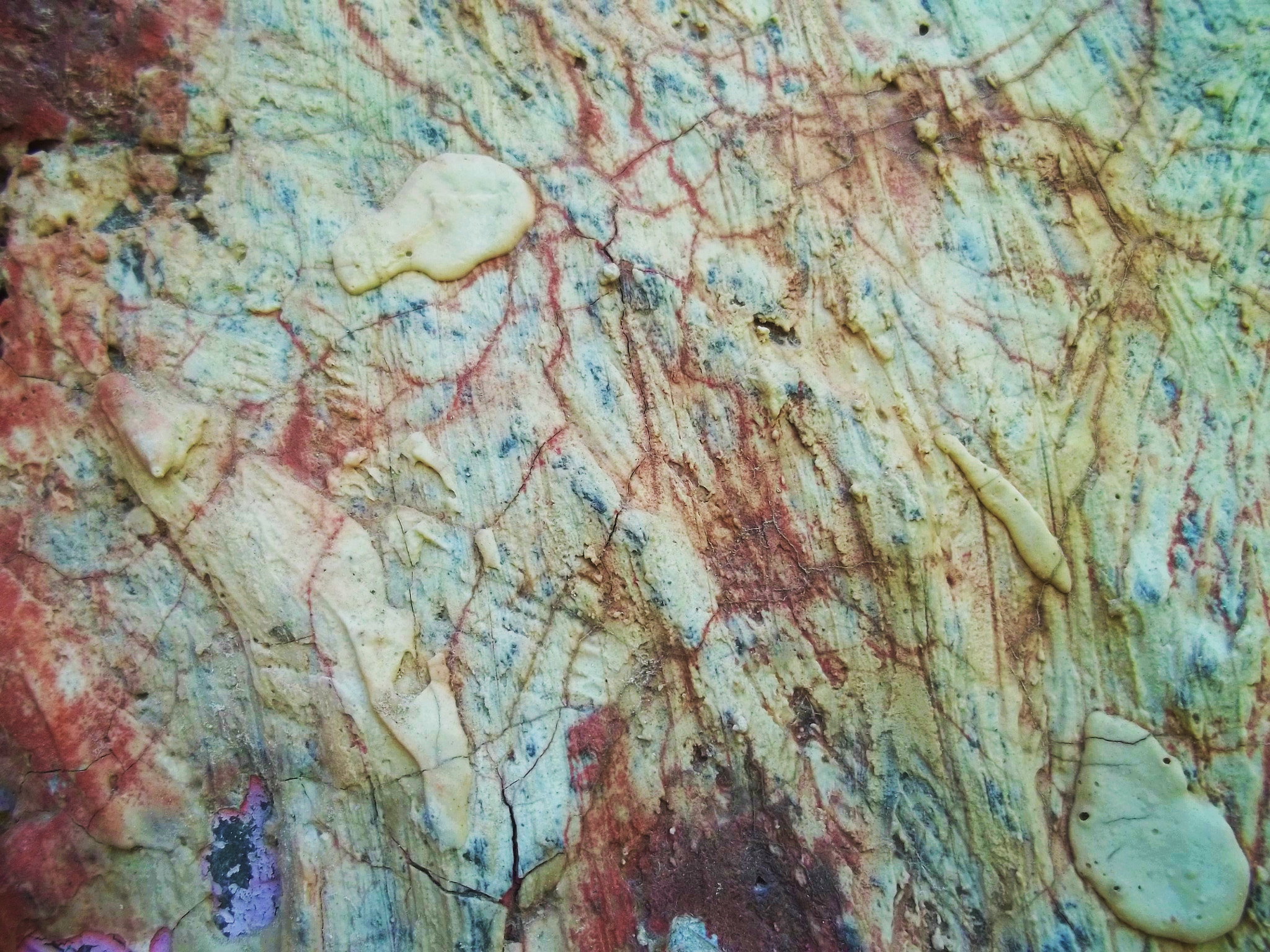 Kodak EASYSHARE M531 DIGITAL CAMERA sample photo. Urban veins photography
