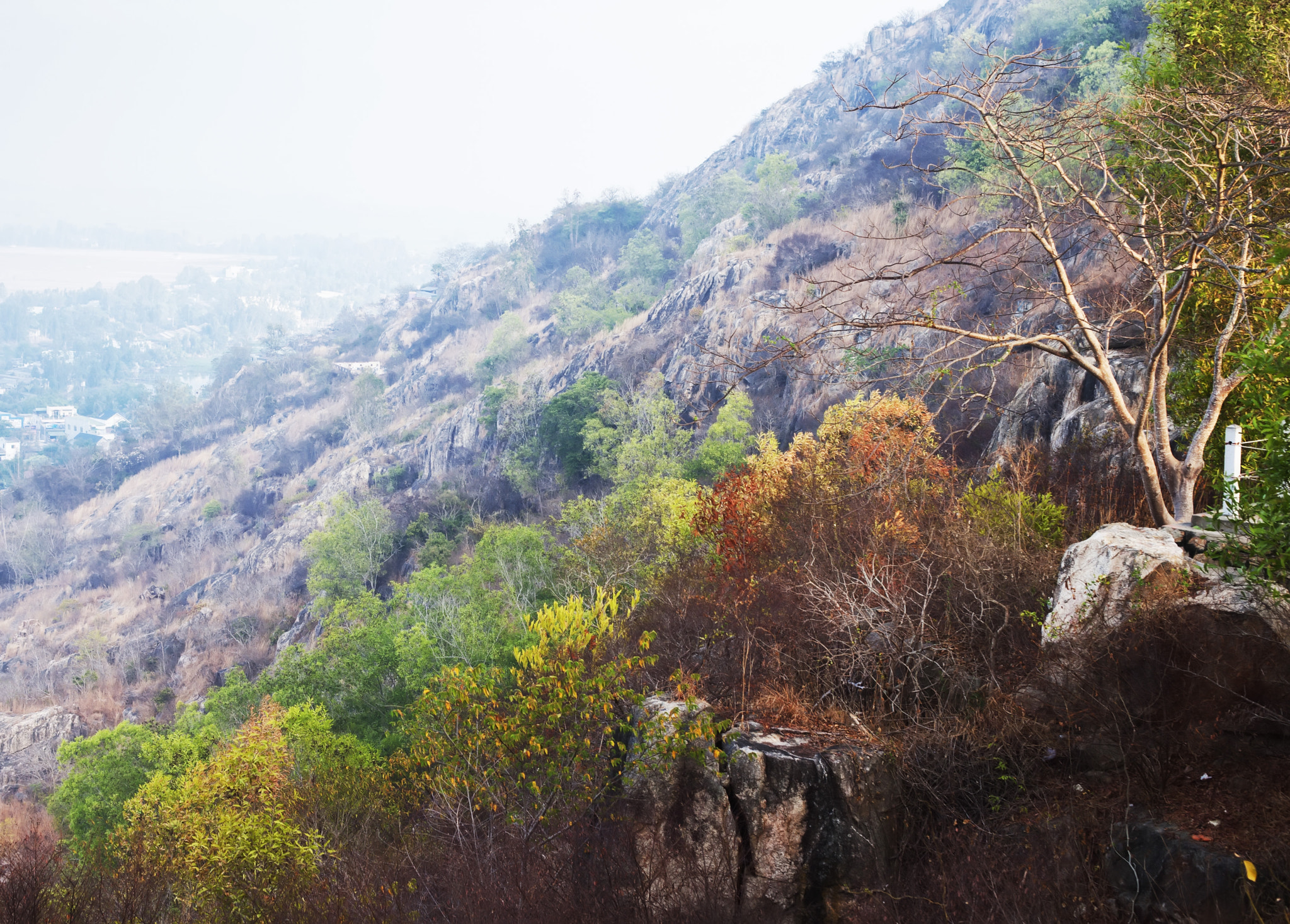 Canon EF 50mm F1.4 USM sample photo. Sam mountain photography