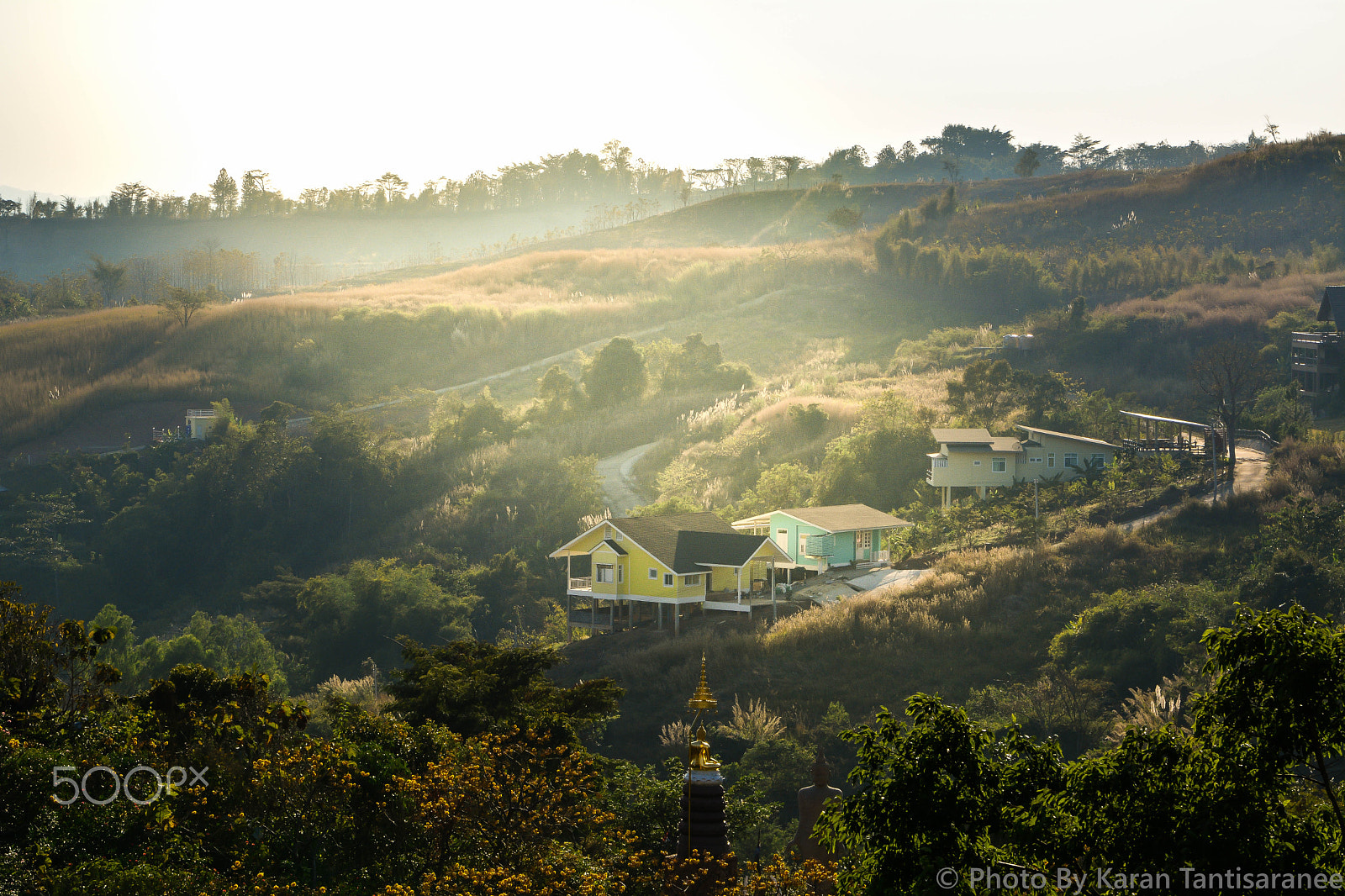 Sigma 17-70mm F2.8-4 DC Macro OS HSM | C sample photo. Kao - koh photography