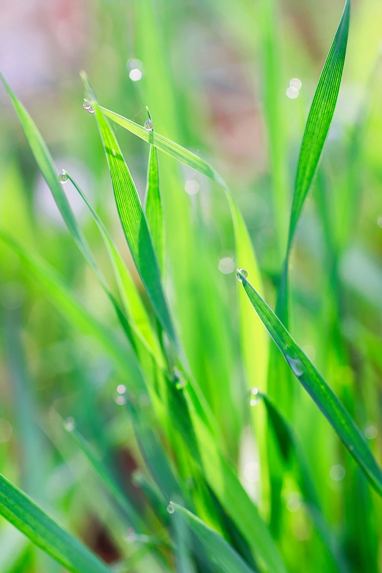 Canon EOS 70D + Canon EF 50mm F2.5 Macro sample photo. ** photography