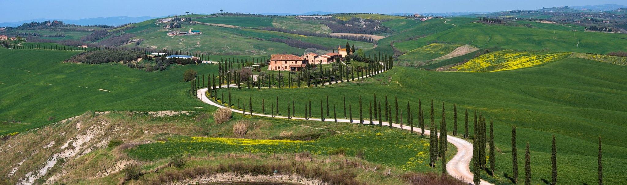 Nikon D800E sample photo. Cypresses's  country road photography