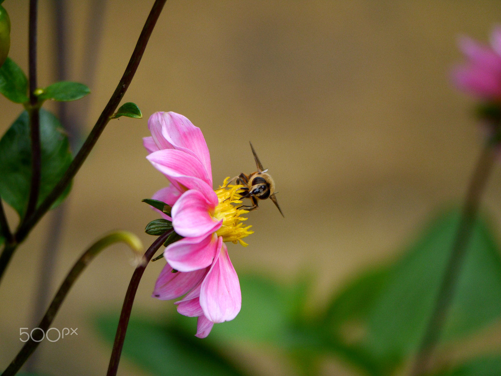 Panasonic Lumix DMC-G3 sample photo. Ready for take off. photography