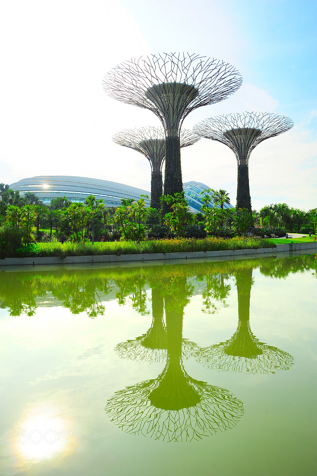 Nikon D700 + AF Zoom-Nikkor 28-80mm f/3.3-5.6G sample photo. Gardens by the bay, singapore photography