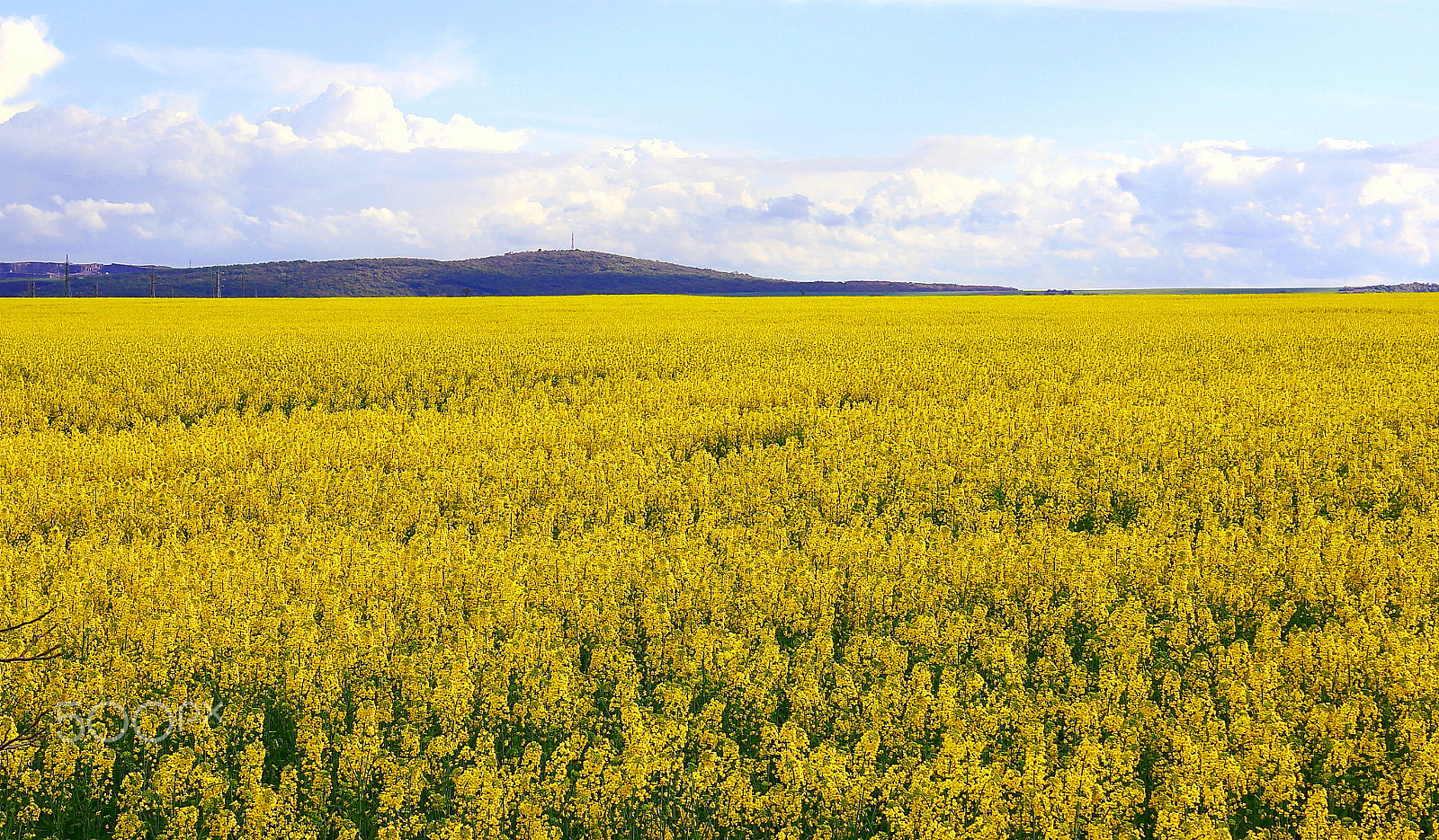 Canon EF-S 18-55mm F3.5-5.6 IS sample photo. Land of gold ... photography
