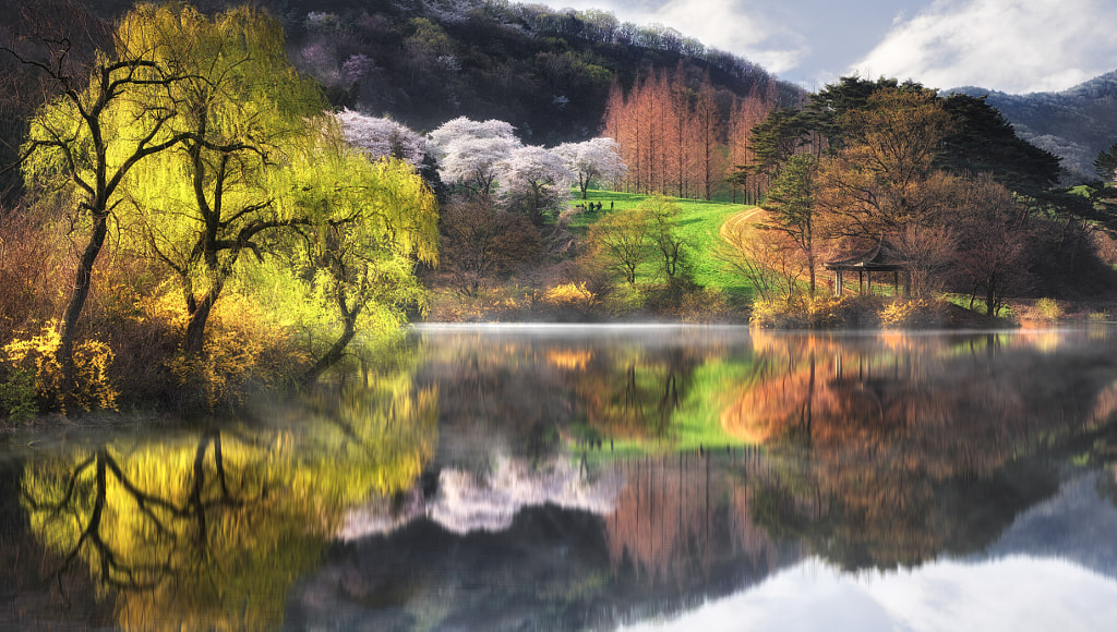 Spring Festival by jae youn Ryu on 500px.com