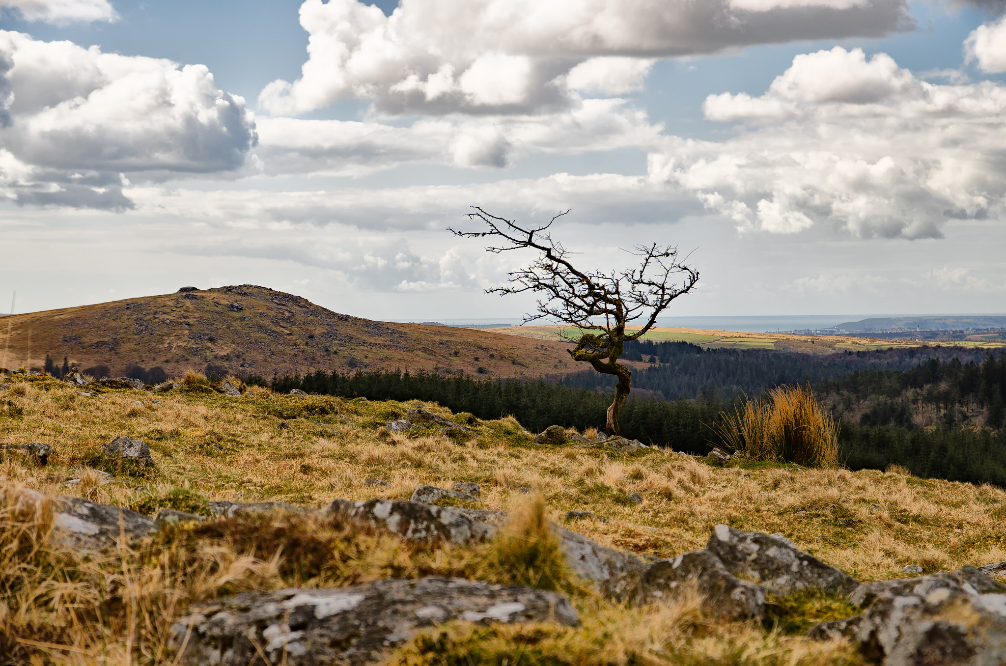 Sigma 17-70mm F2.8-4 DC Macro OS HSM | C sample photo. Sheepstor, dartmoor, england photography